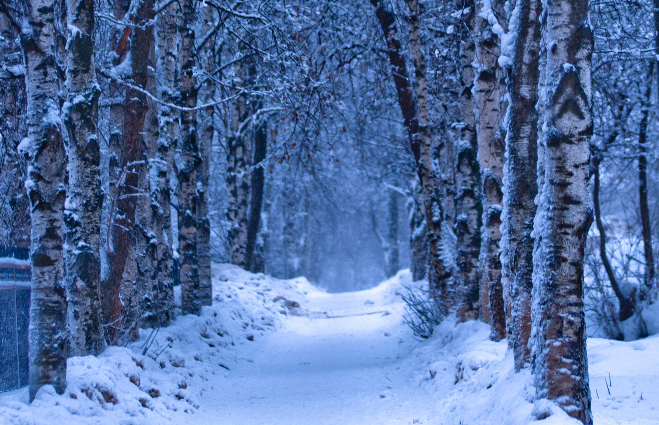 Природа. Фотограф в Санкт-Петербурге