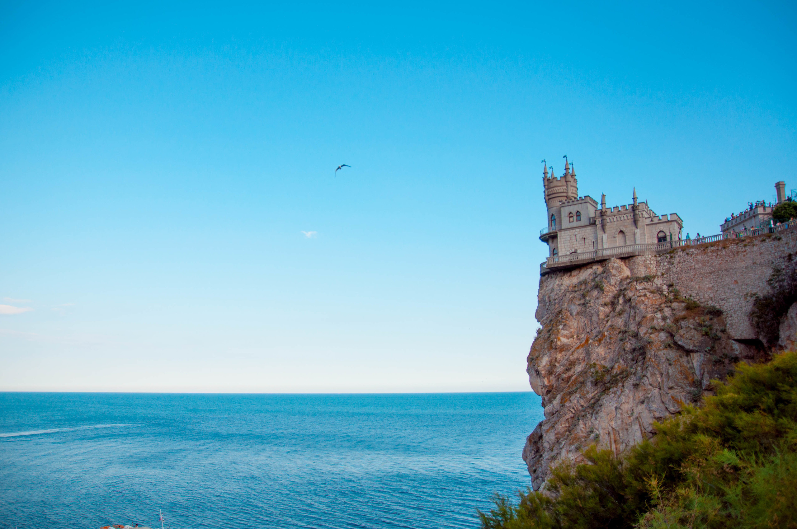 Природа. Фотограф в Санкт-Петербурге