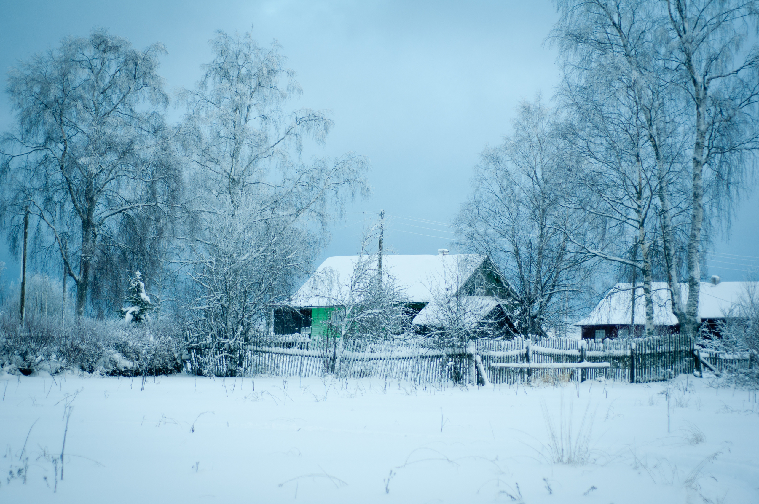 Природа. Фотограф в Санкт-Петербурге