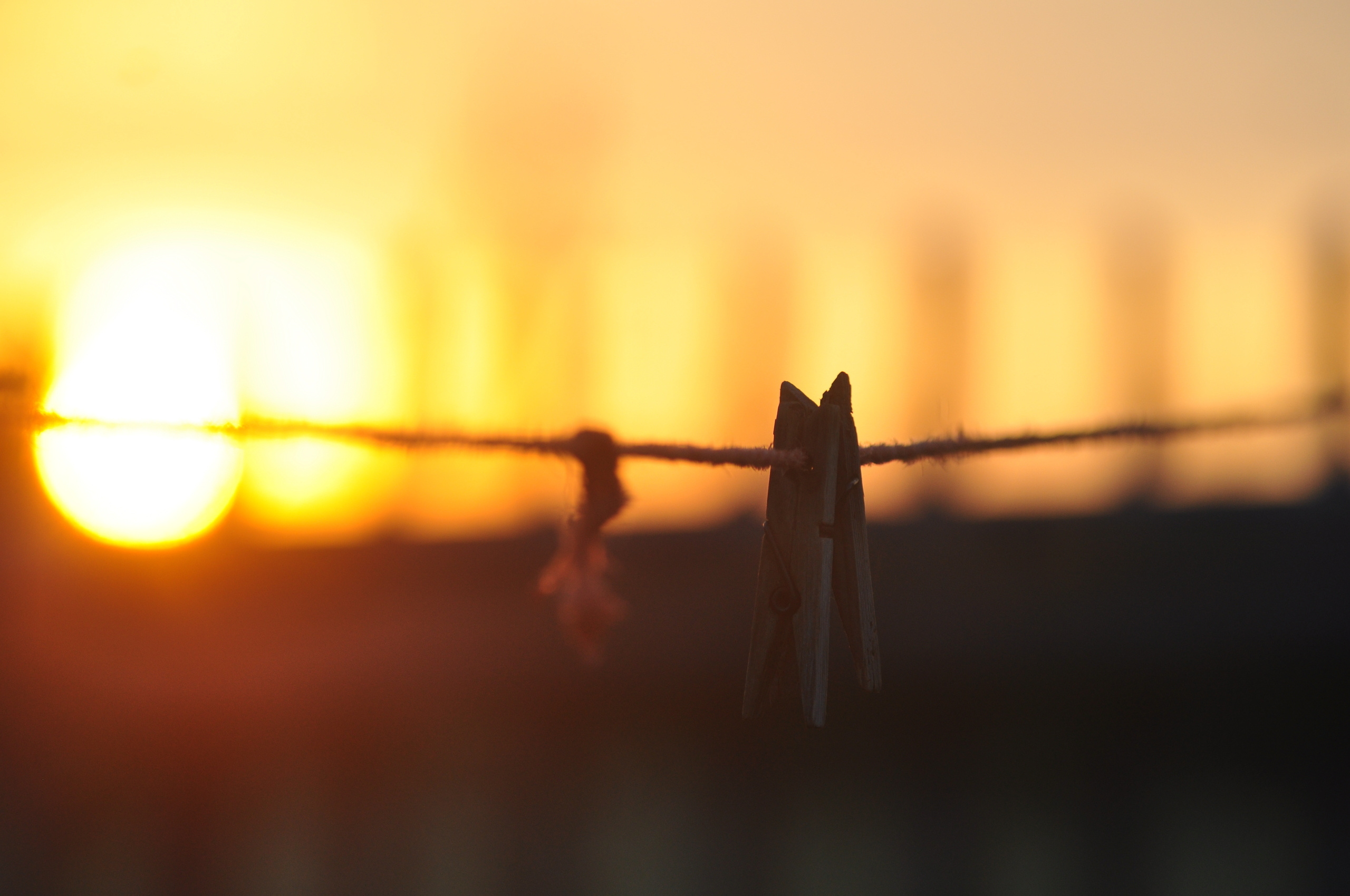 Природа. Фотограф в Санкт-Петербурге