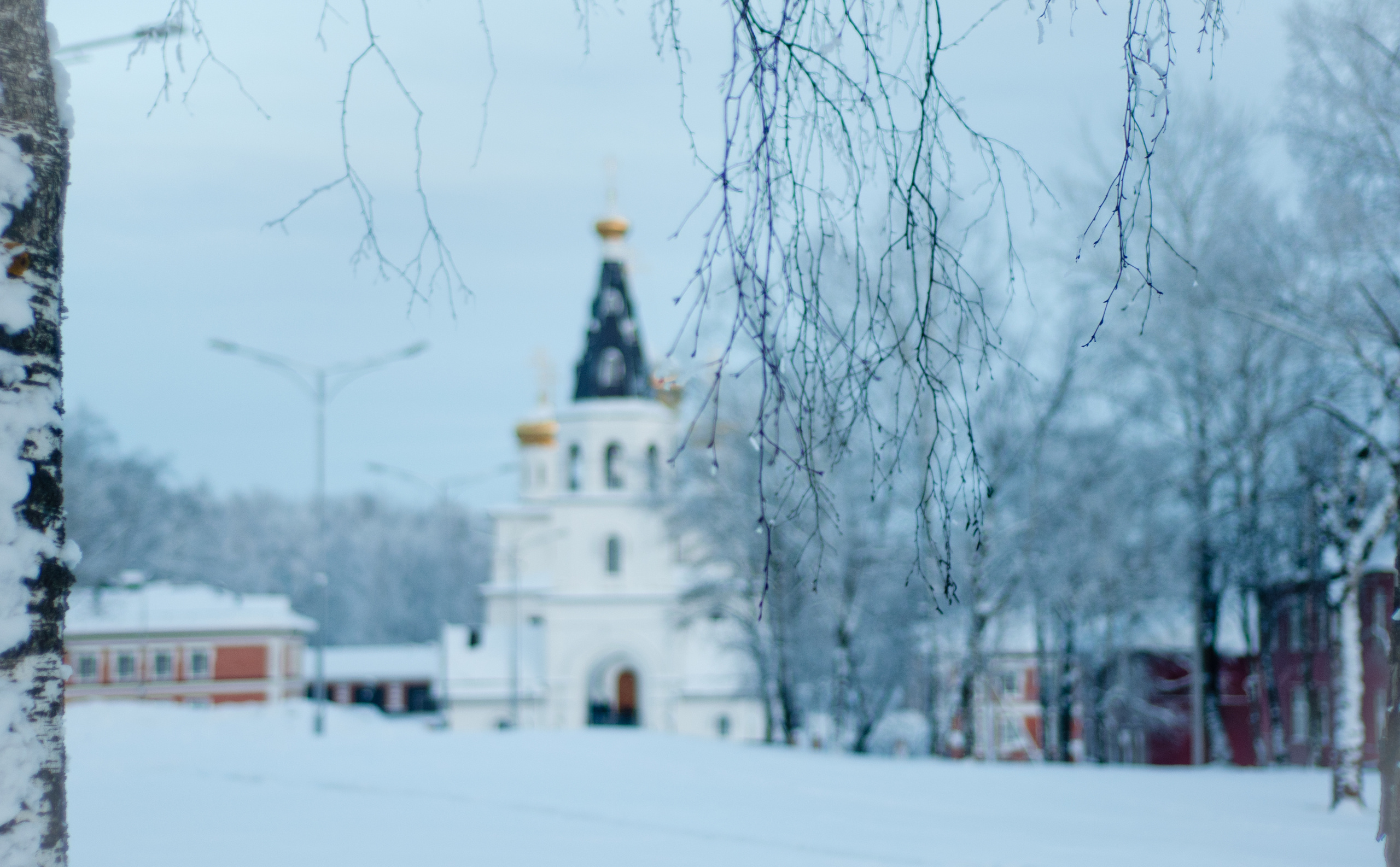Природа. Фотограф в Санкт-Петербурге