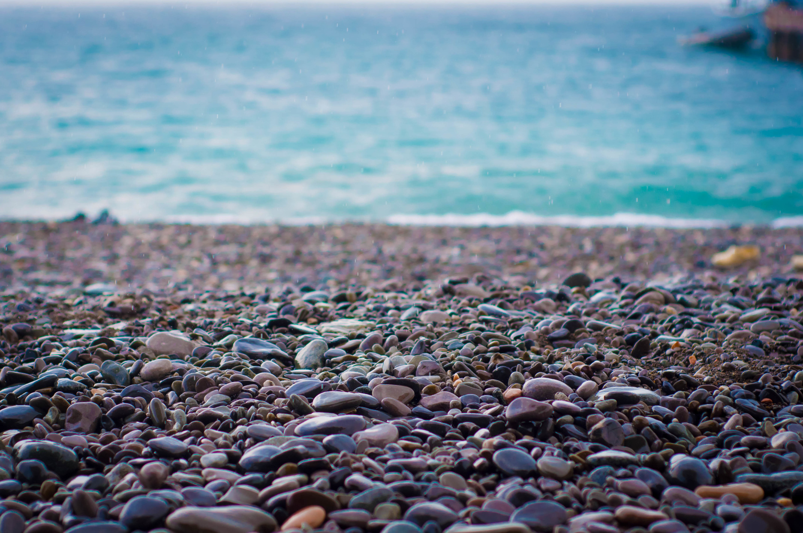 Природа. Фотограф в Санкт-Петербурге