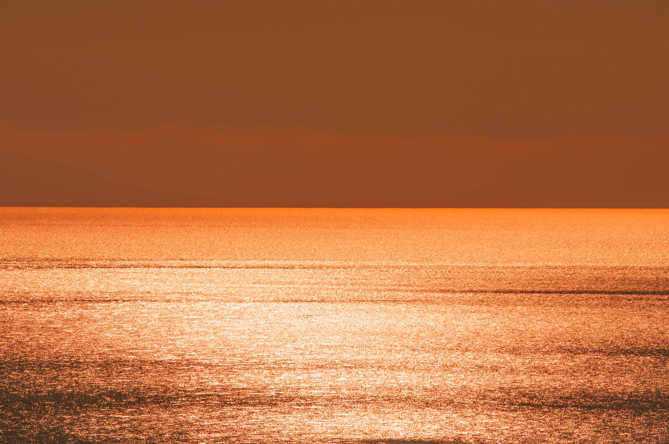 Природа. Фотограф в Санкт-Петербурге