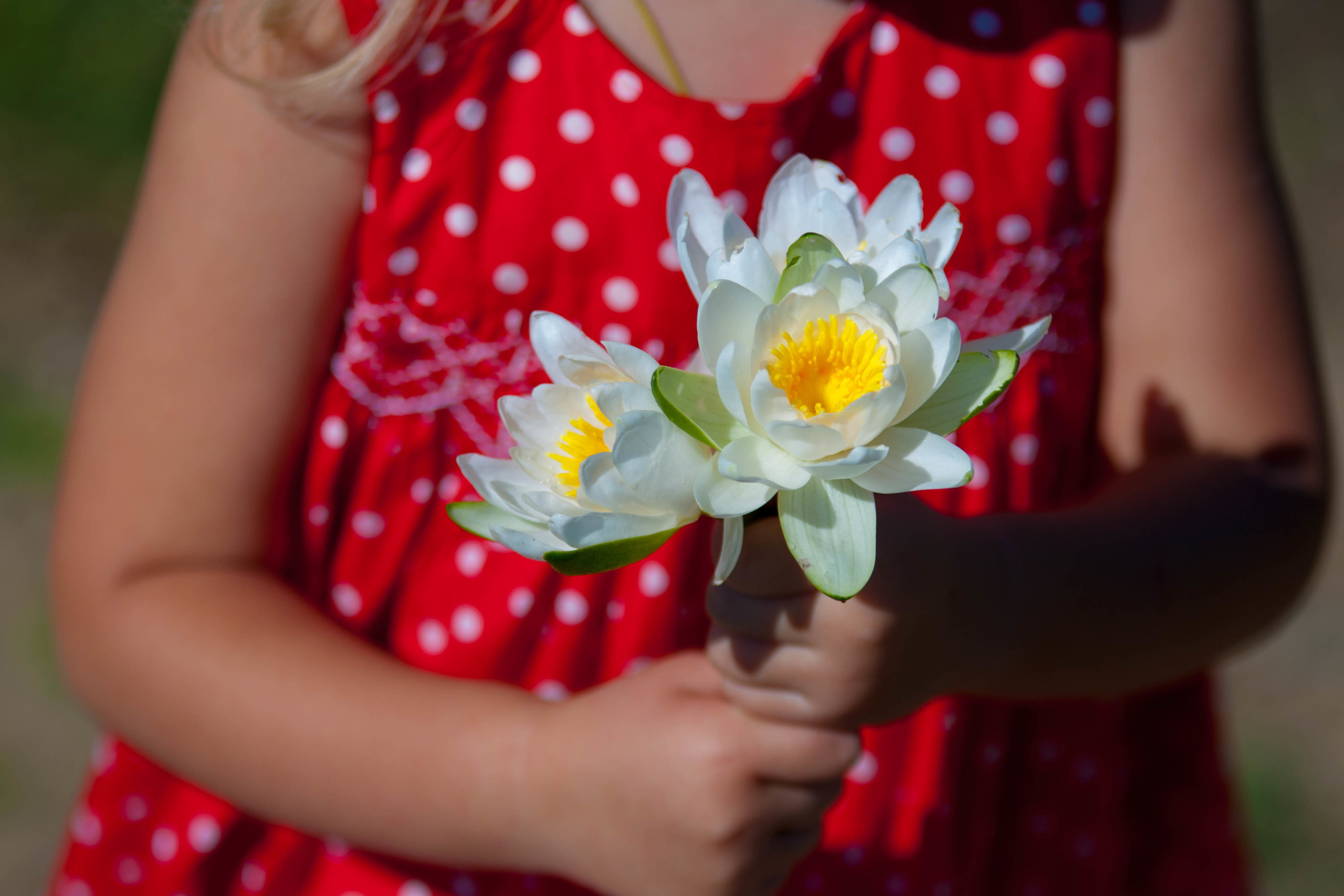 Природа. Фотограф в Санкт-Петербурге