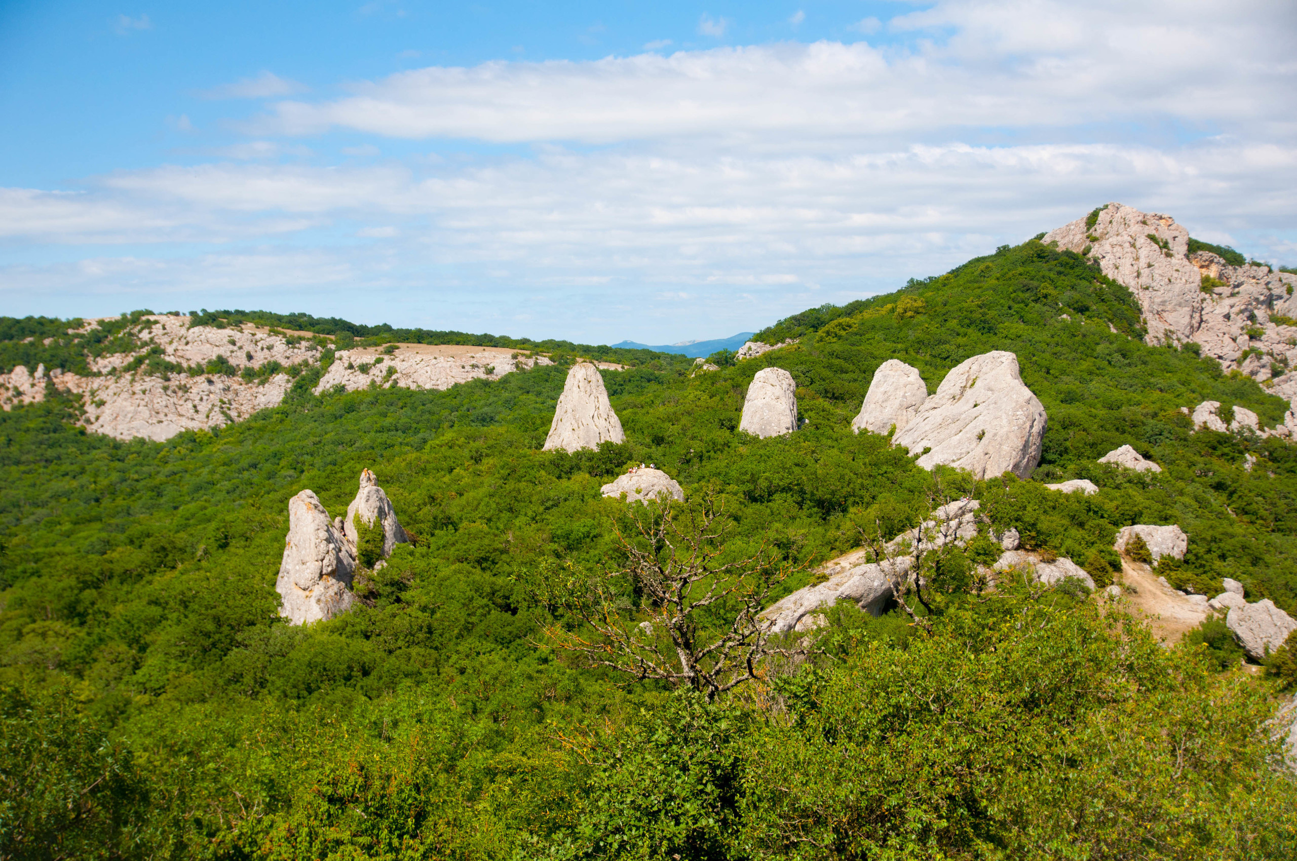 Природа. Фотограф в Санкт-Петербурге