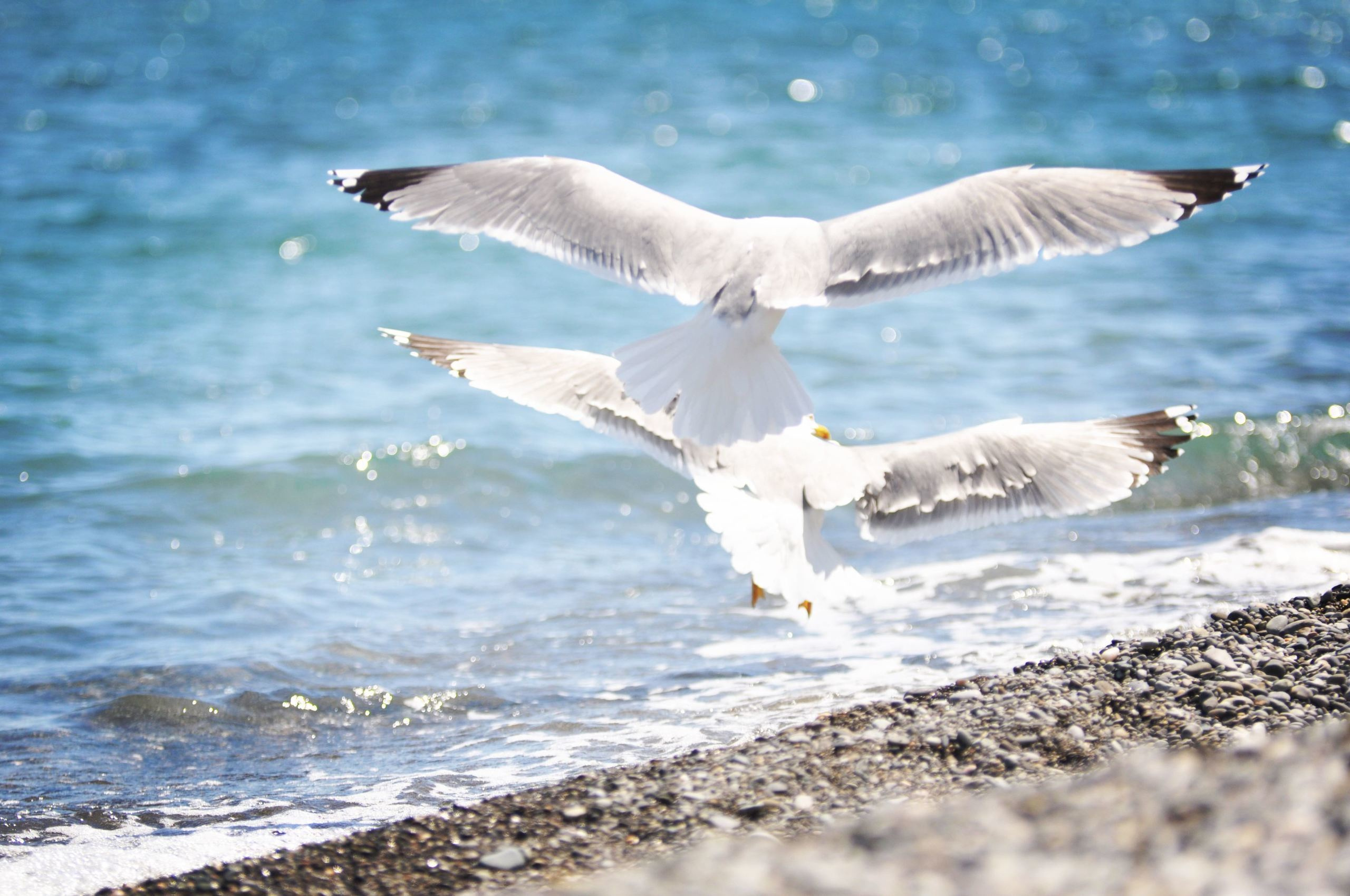 Природа. Фотограф в Санкт-Петербурге