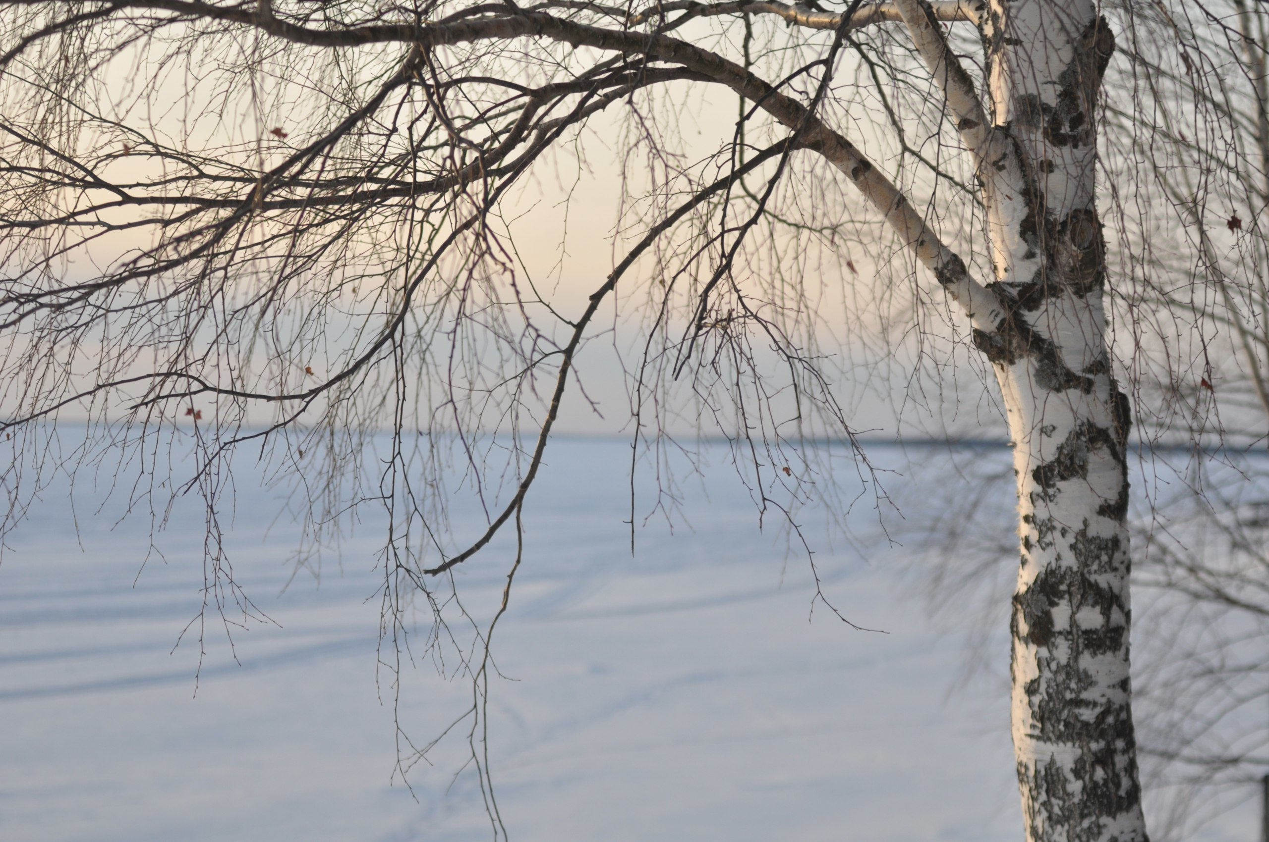 Природа. Фотограф в Санкт-Петербурге