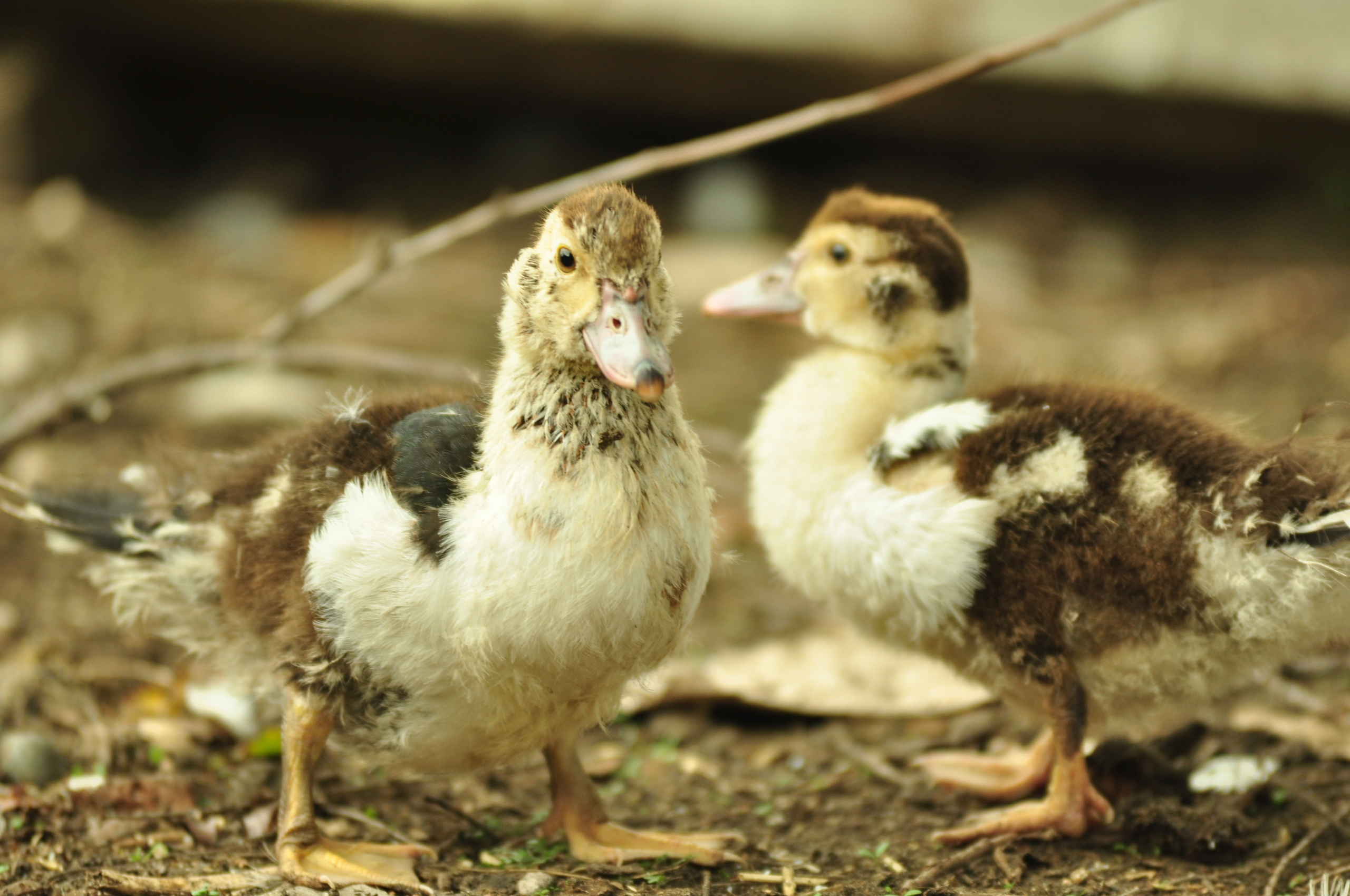Природа. Фотограф в Санкт-Петербурге