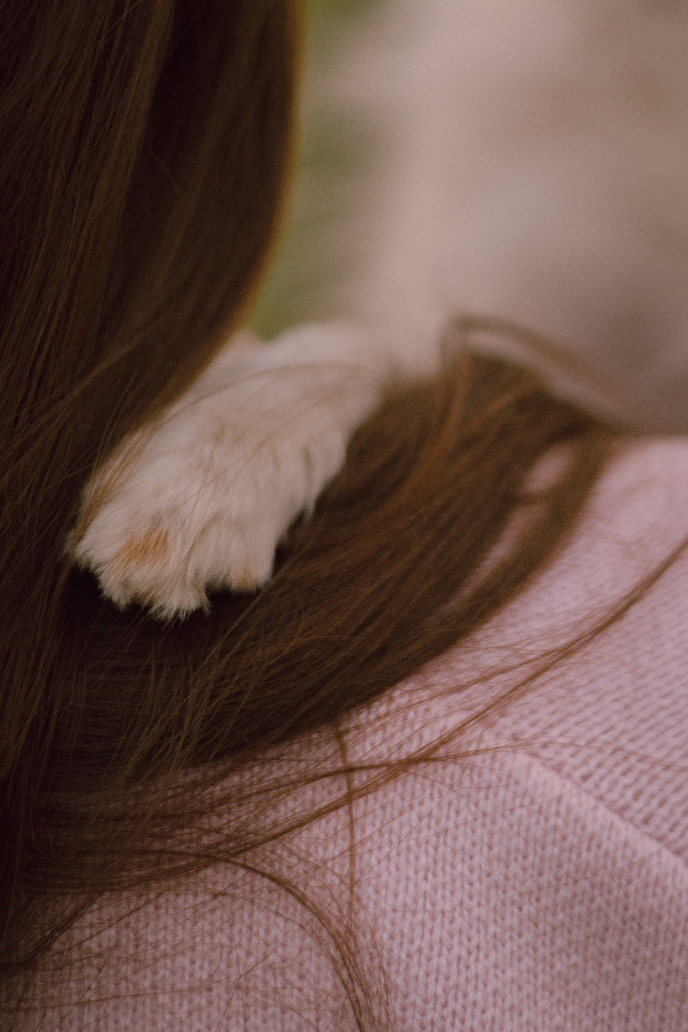 Вика и Бруни. Фотограф — анималист •love-story•|Санкт-Петербург