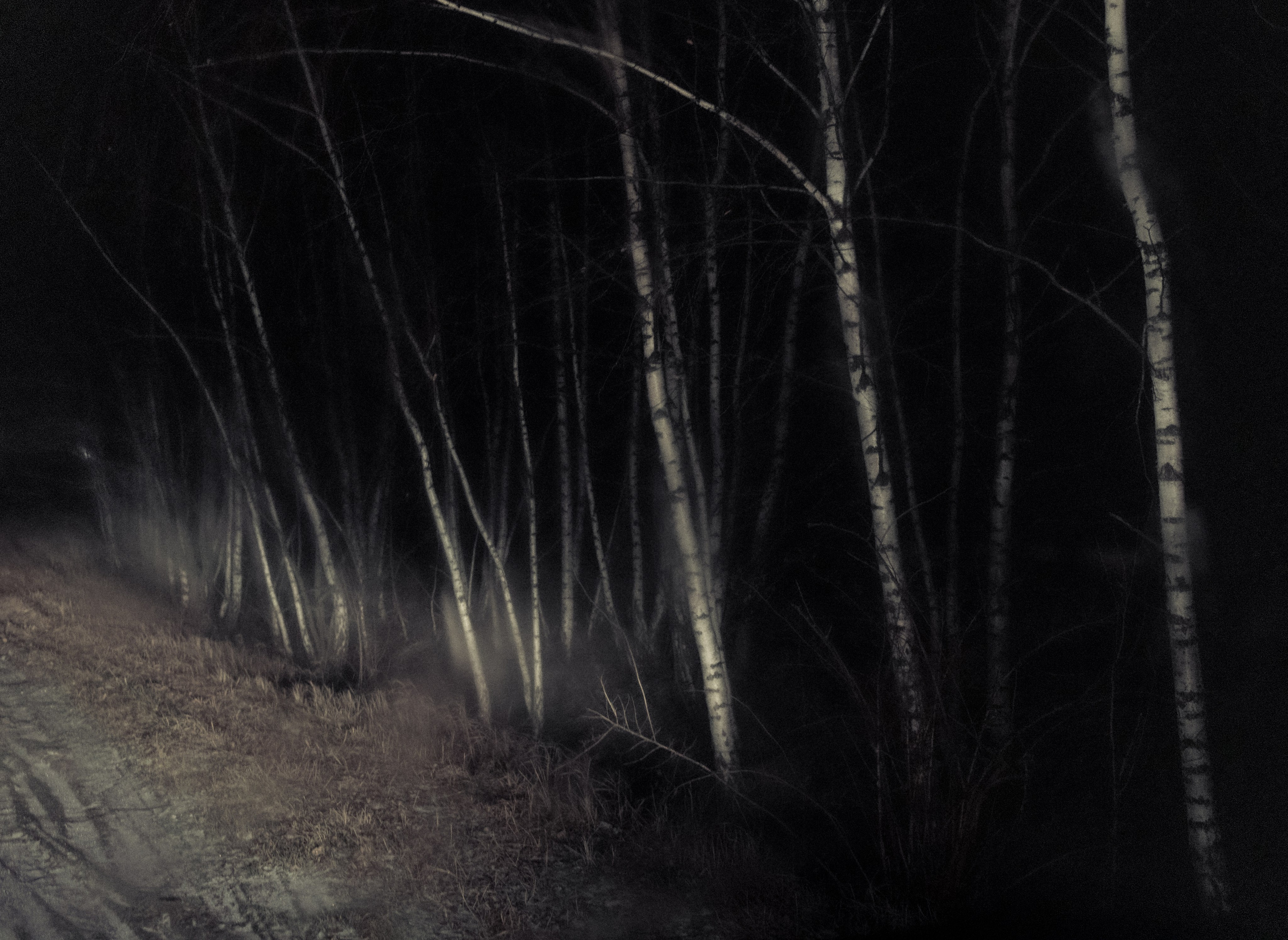 Работы вне серий — Сафонов Владислав. Сафонов Владислав, фотохудожник