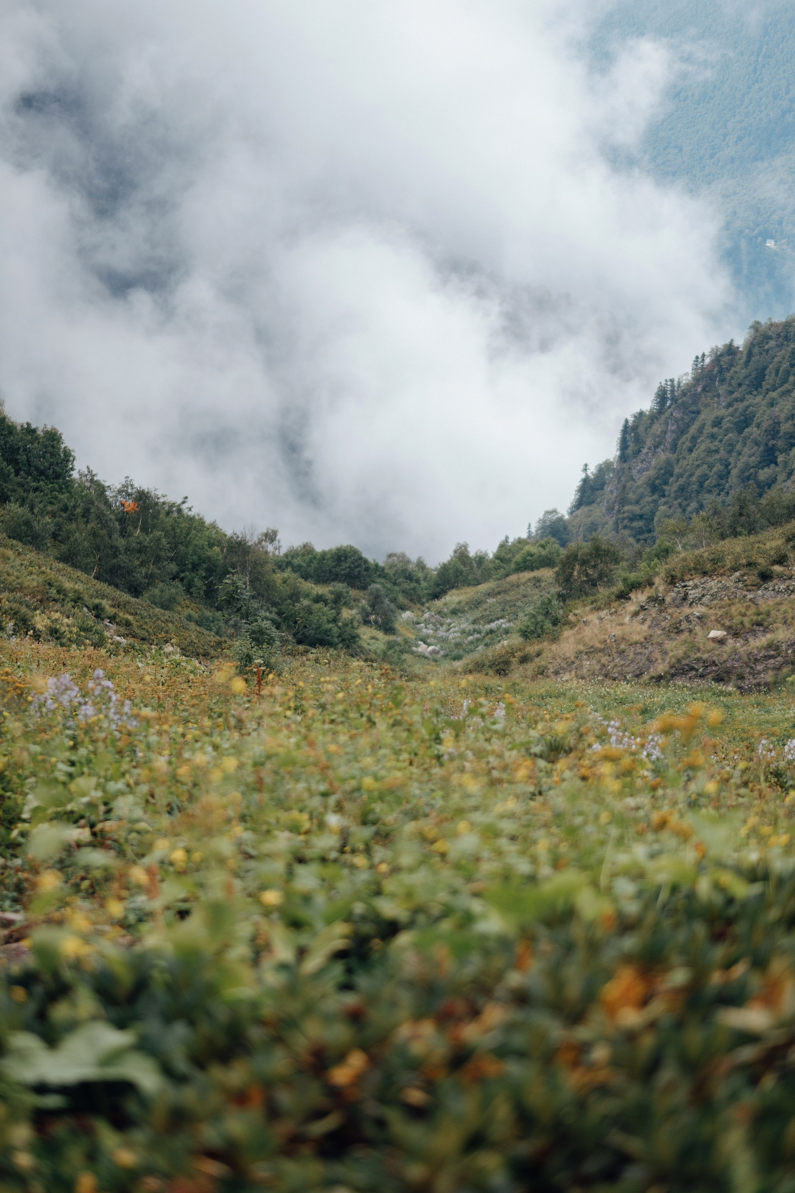 Горная карусель. Свадебный Видеограф Фотограф в Сочи