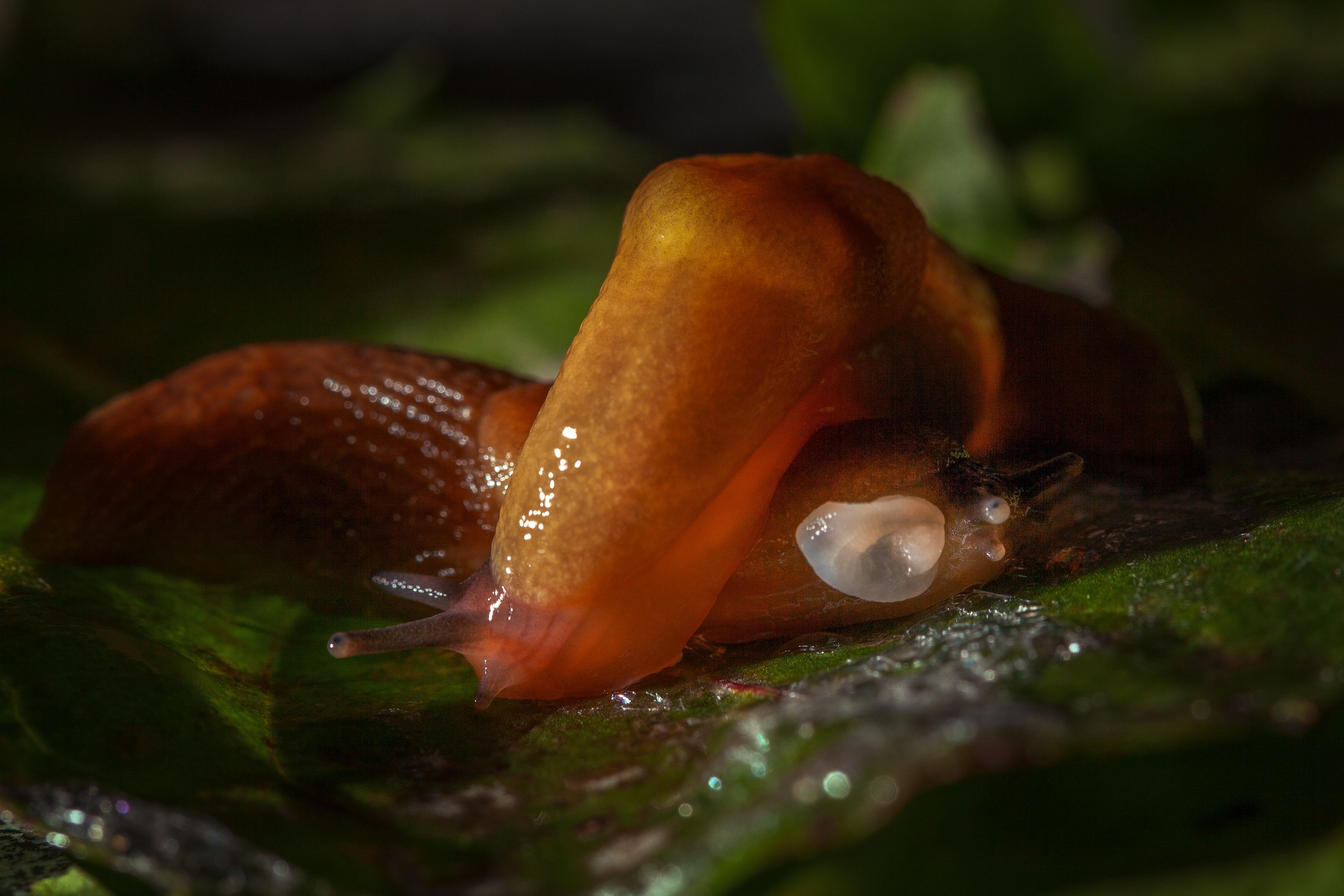 Красота вокруг нас. Медиапродюсер, фотограф в Минеральных Водах —Виктор Холодов