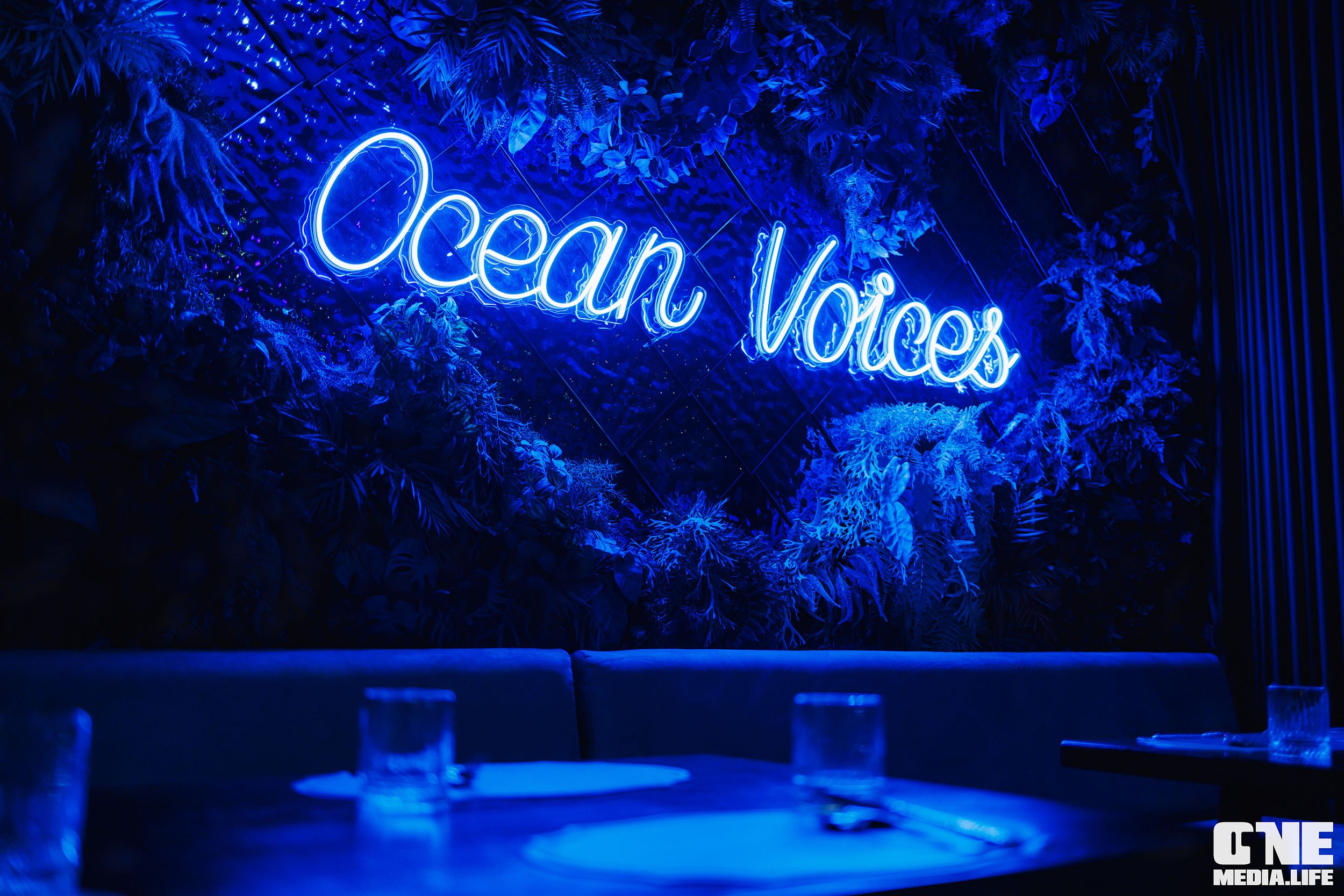 Фоторепортаж из ресторана Океан. One Media Life: фоторепортажи, фотоотчеты с мероприятий и заведений