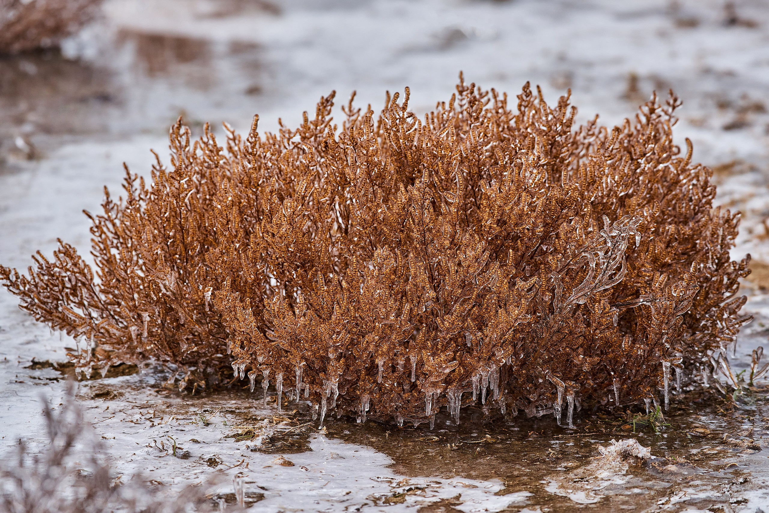 Текстуры и другие фоны. Textures and other. Яркие фото на Чёрном море