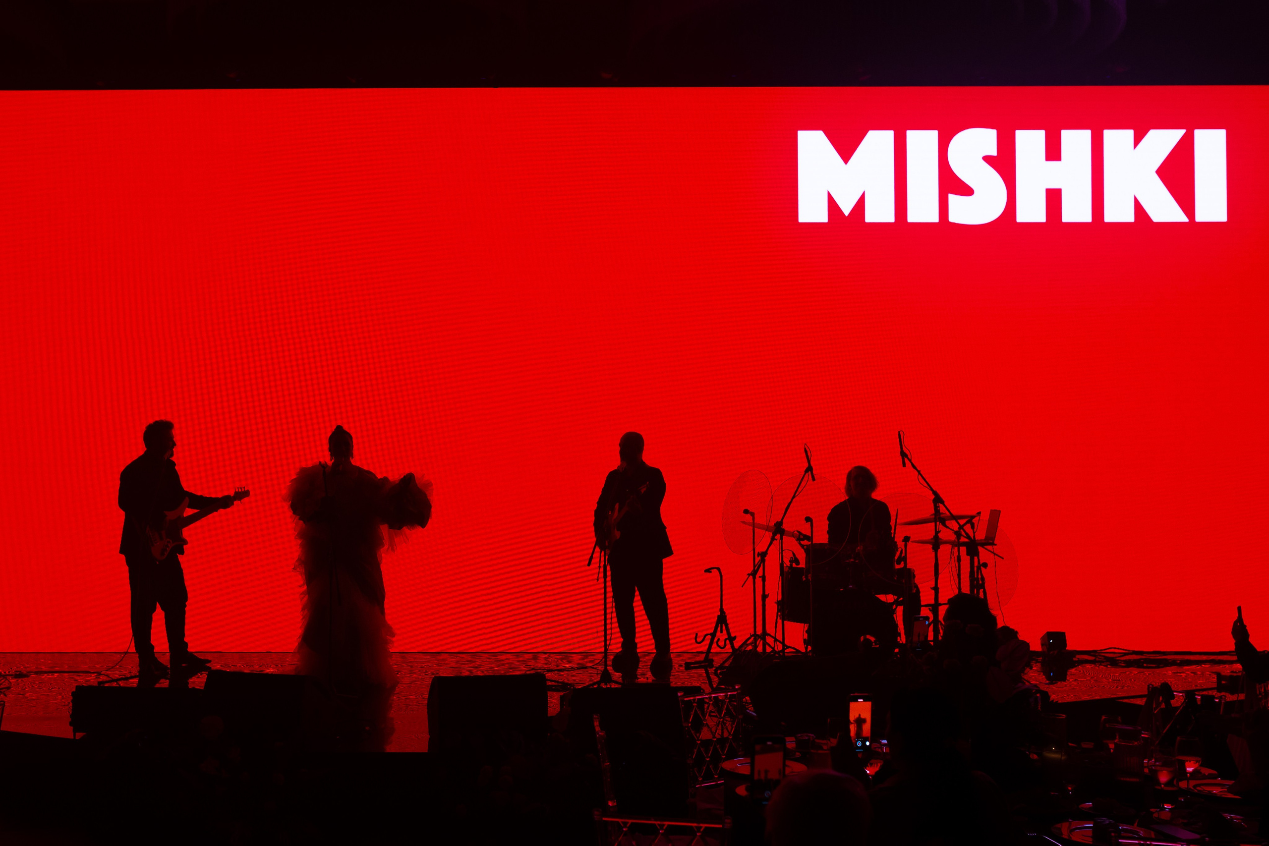 КОНЦЕРТЫ. Фотосъёмка Сочи, Адлер, Красная Поляна