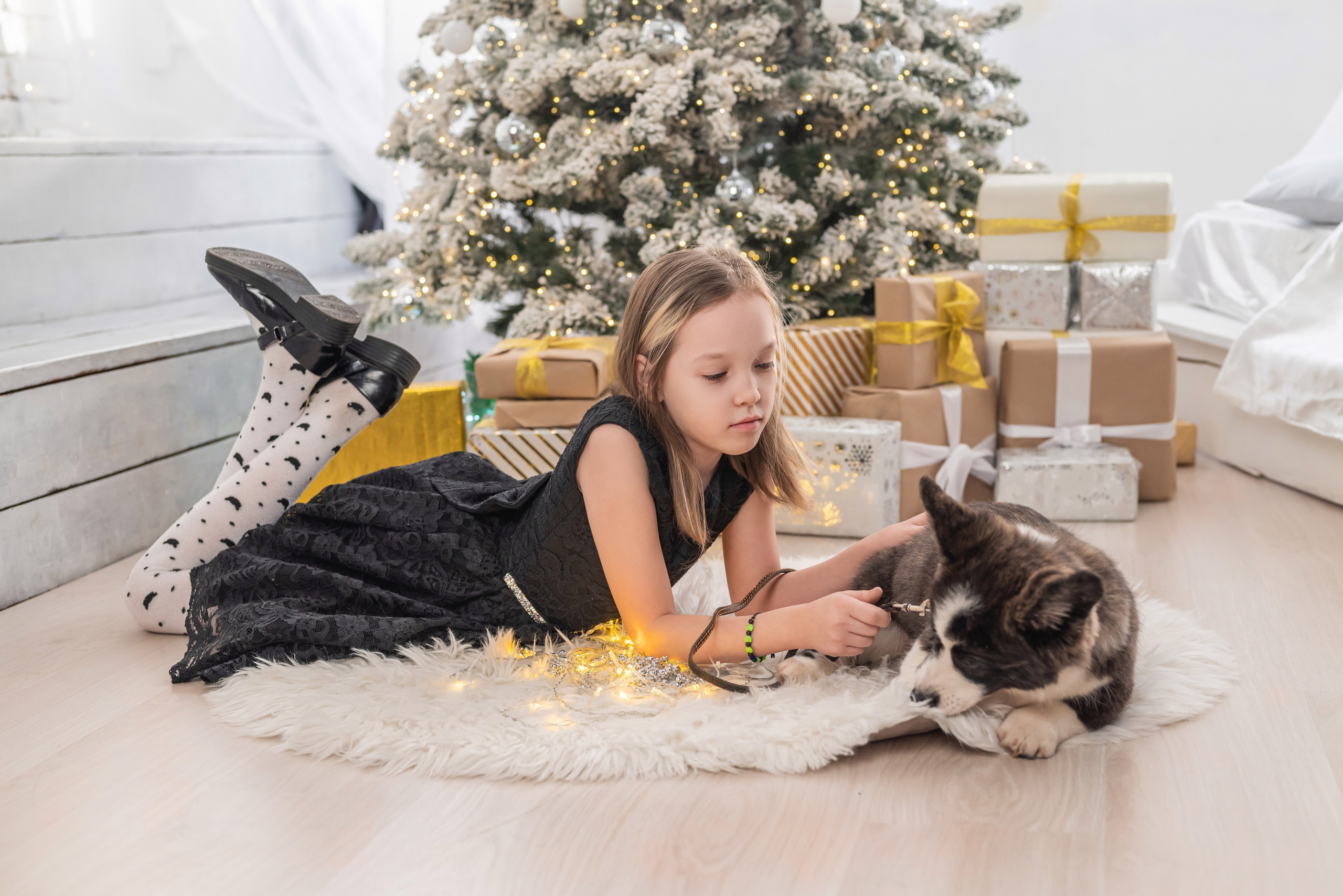 Фотопроект с корги. Фотограф в городе Салават