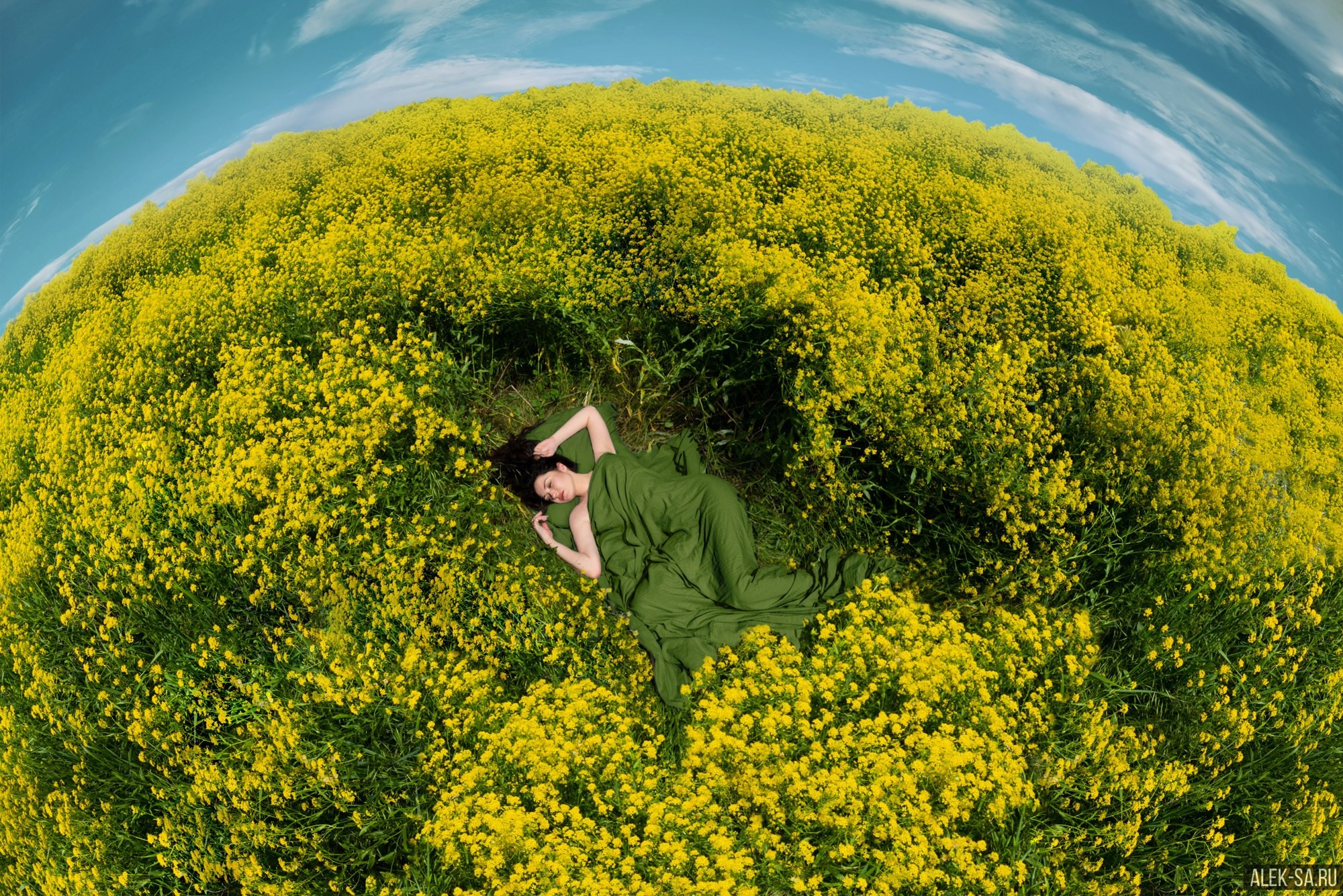 Девушка в кольце рапса, съёмка с «рыбьим глазом» — пленэр, Краснодар
