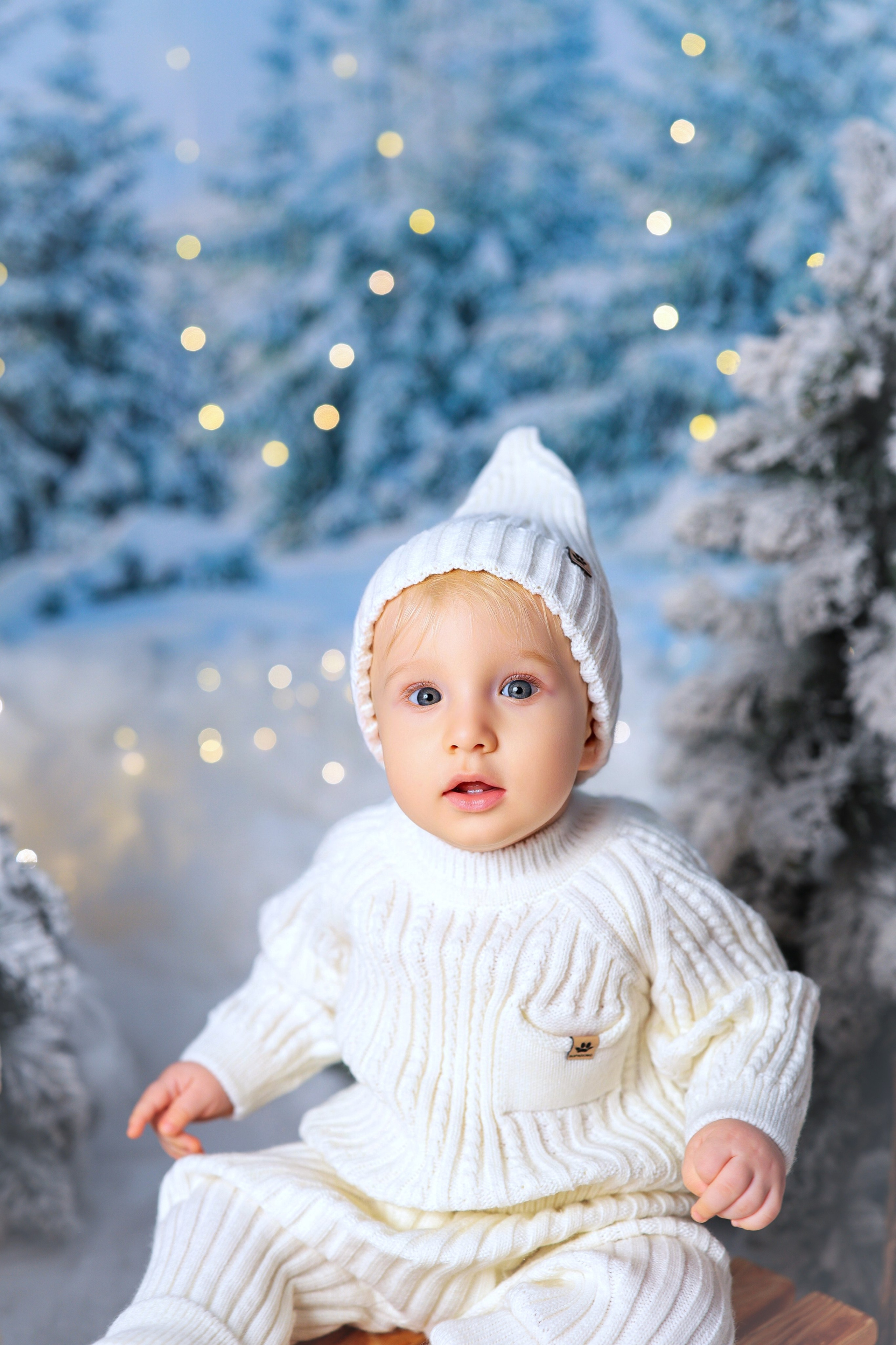 Антураж НОВЫЙ ГОД 2025