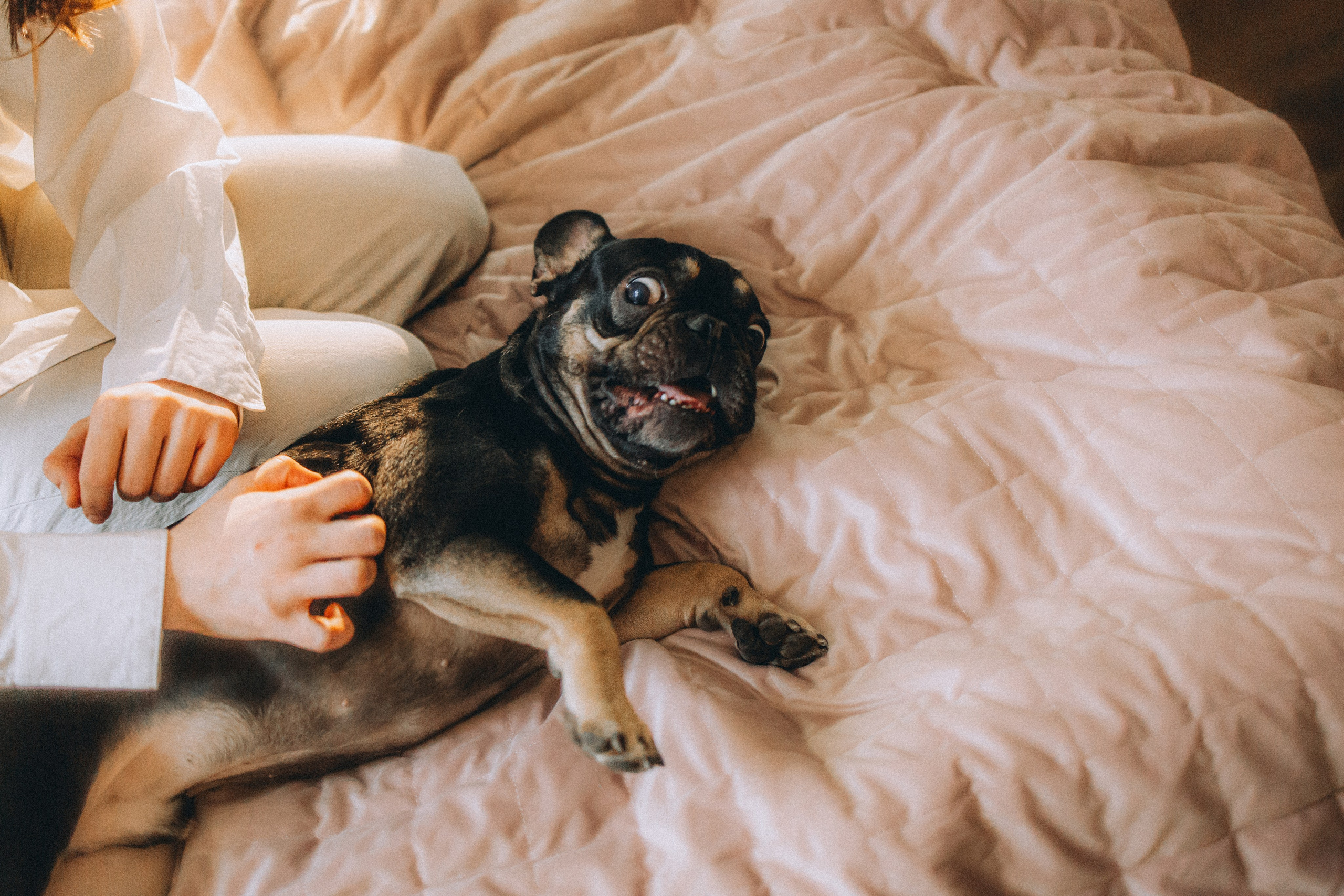 Юля, Мия и Зек