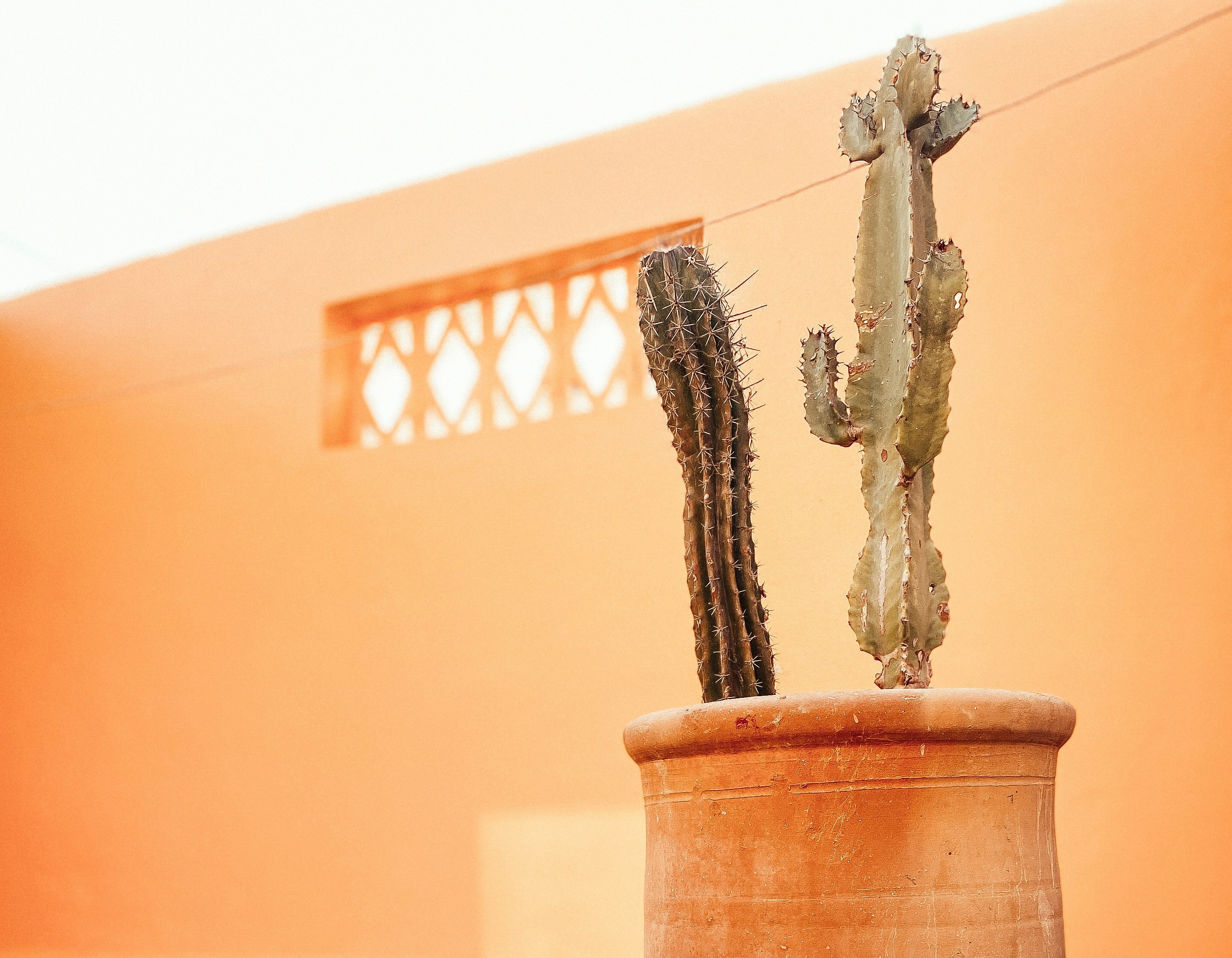 Studio. Olga Popova — Photographer in Morocco