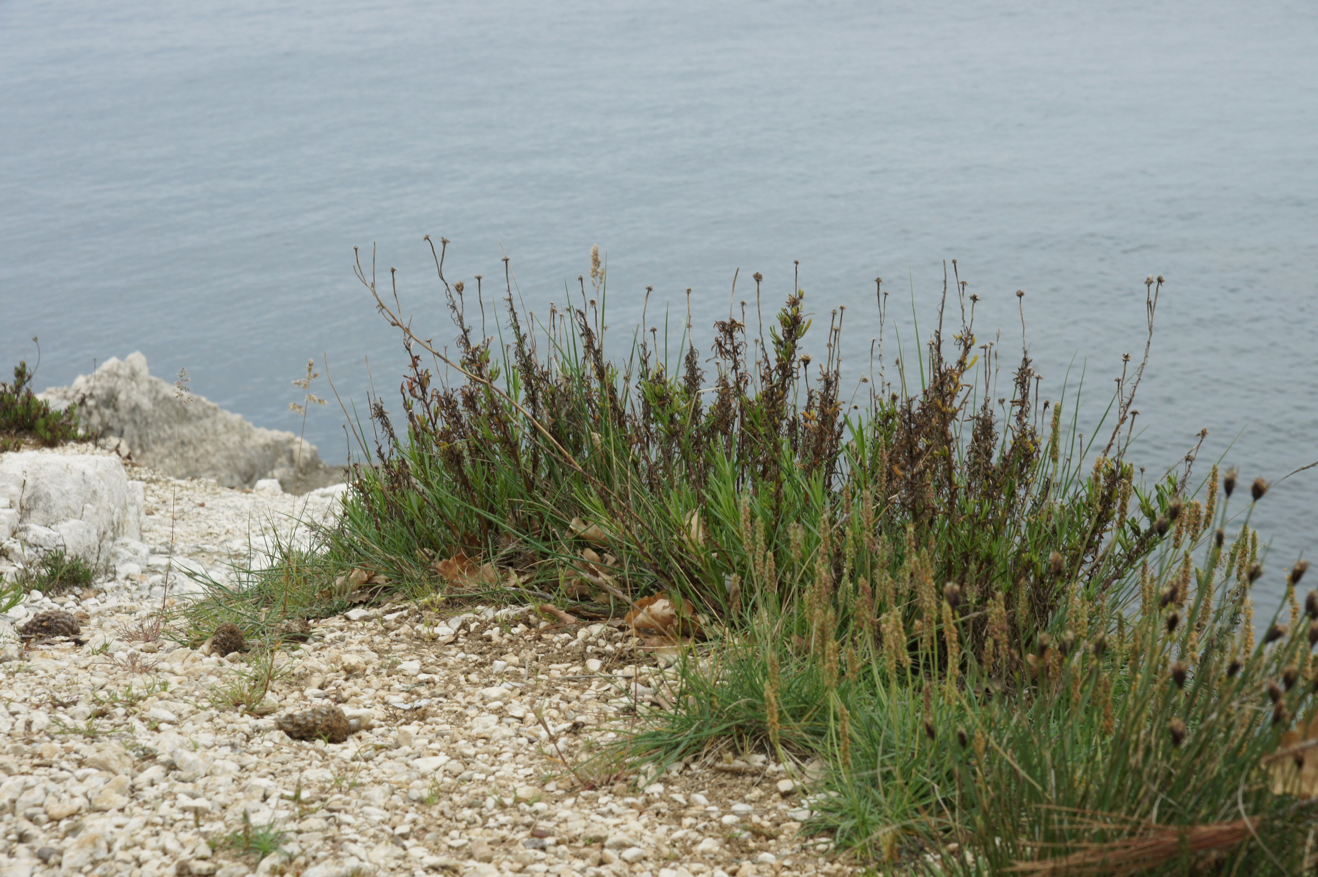 Хорватия. Главная