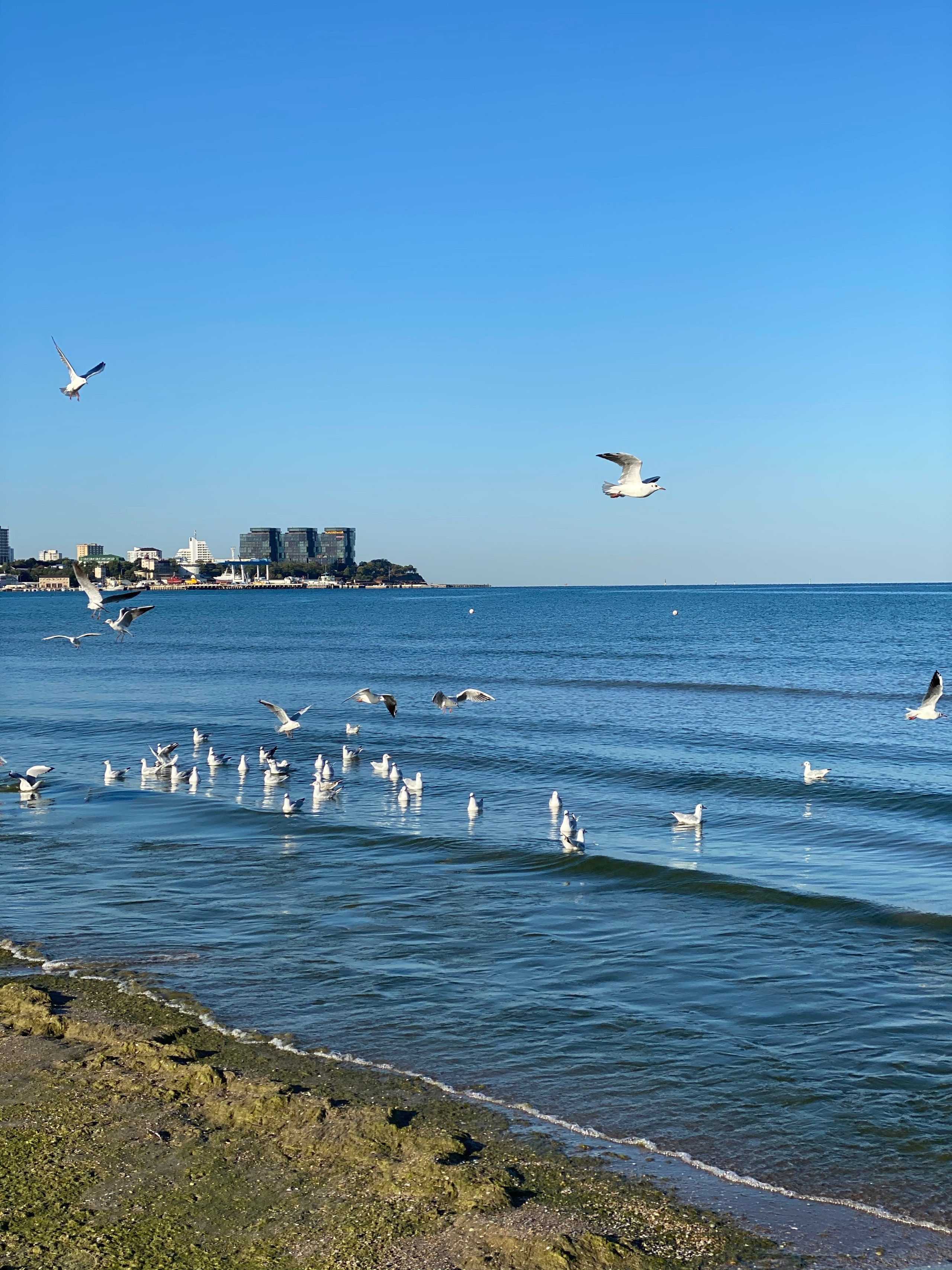 Анапа — 20. Своя Мастерская