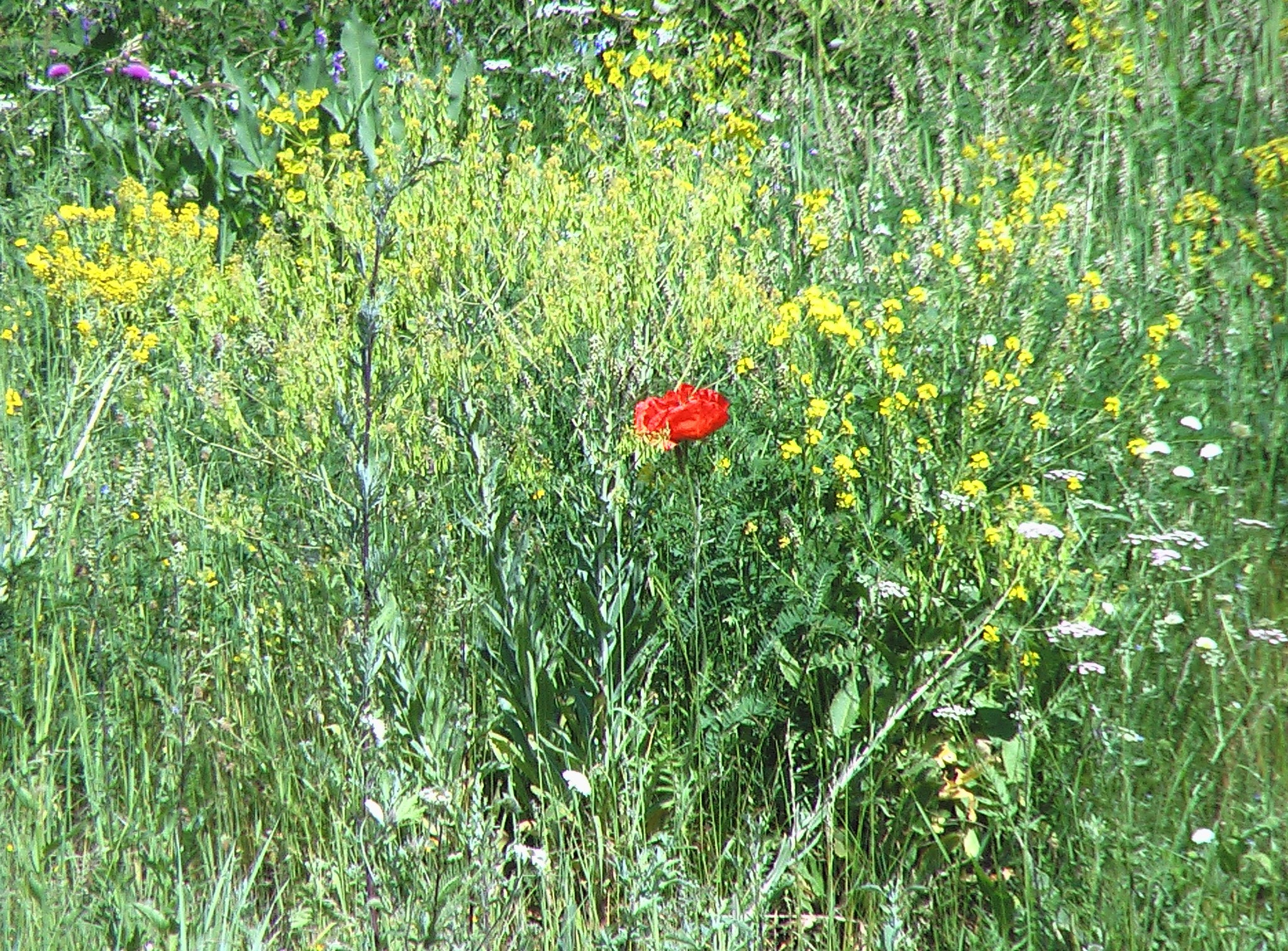 Армения. Главная