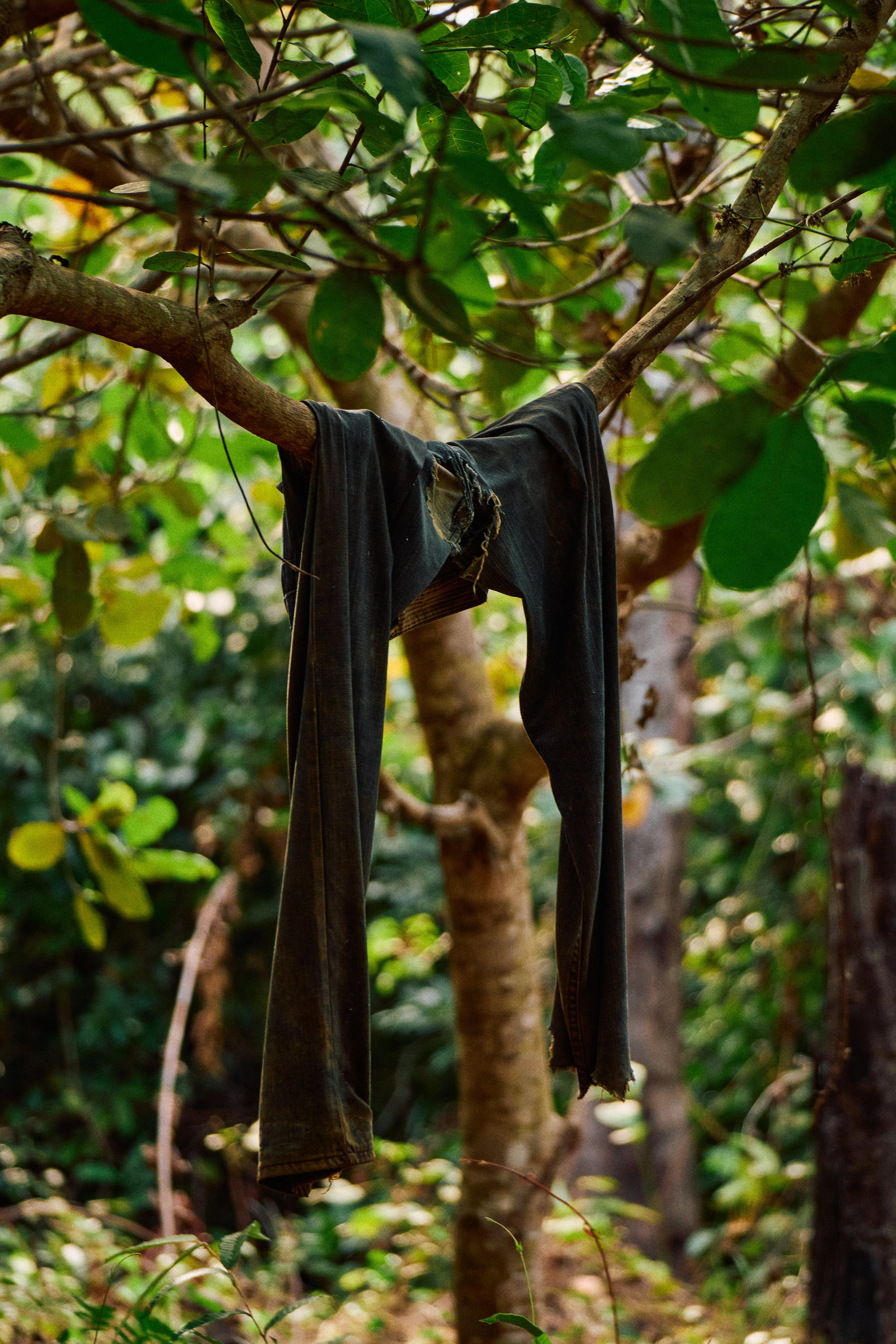 Guinea-Bissau. See the moment and catche. commercial and reportage