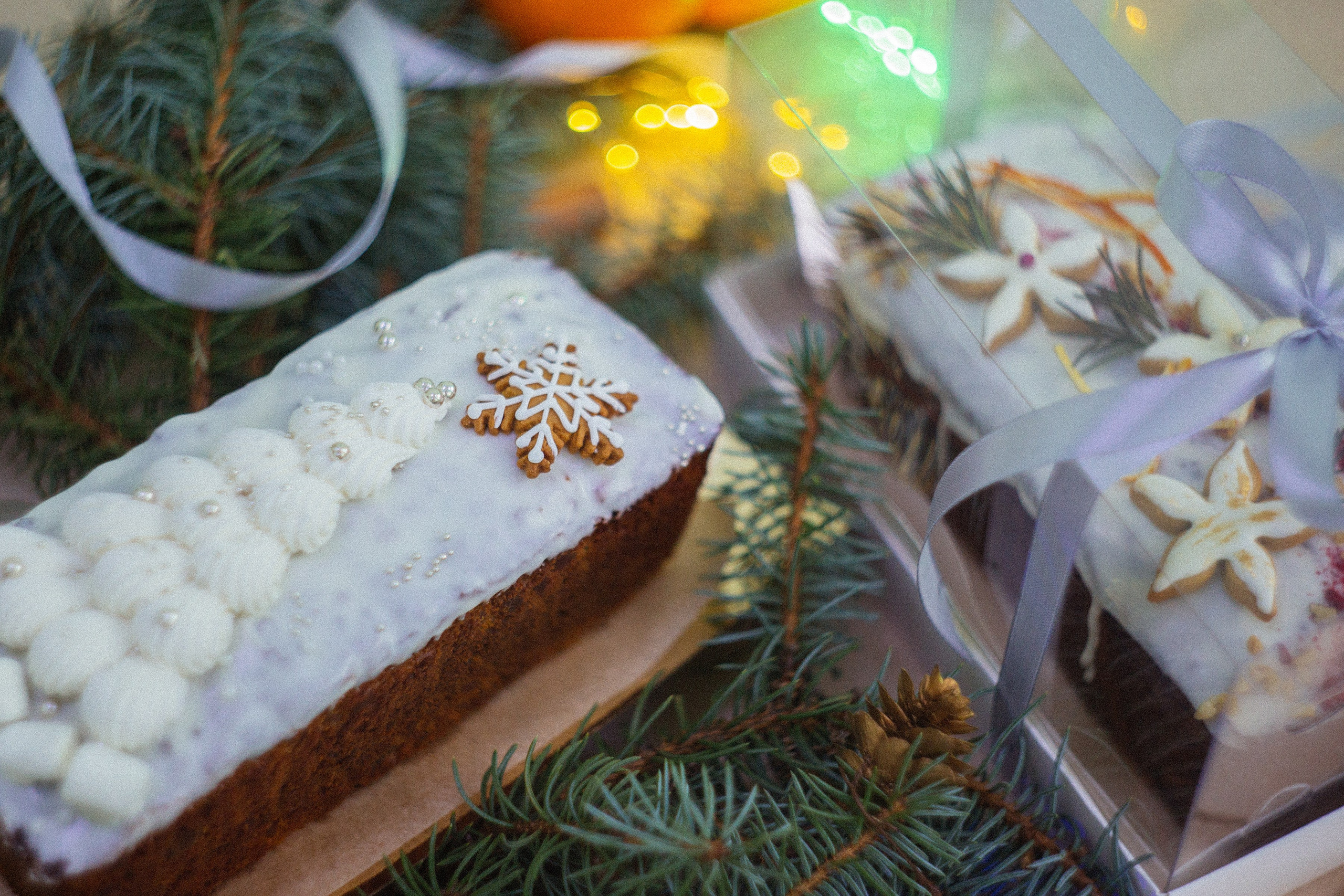 Съемки для бизнеса, контент, мероприятия. Семейный и контент фотограф в Москве Вероника Швец