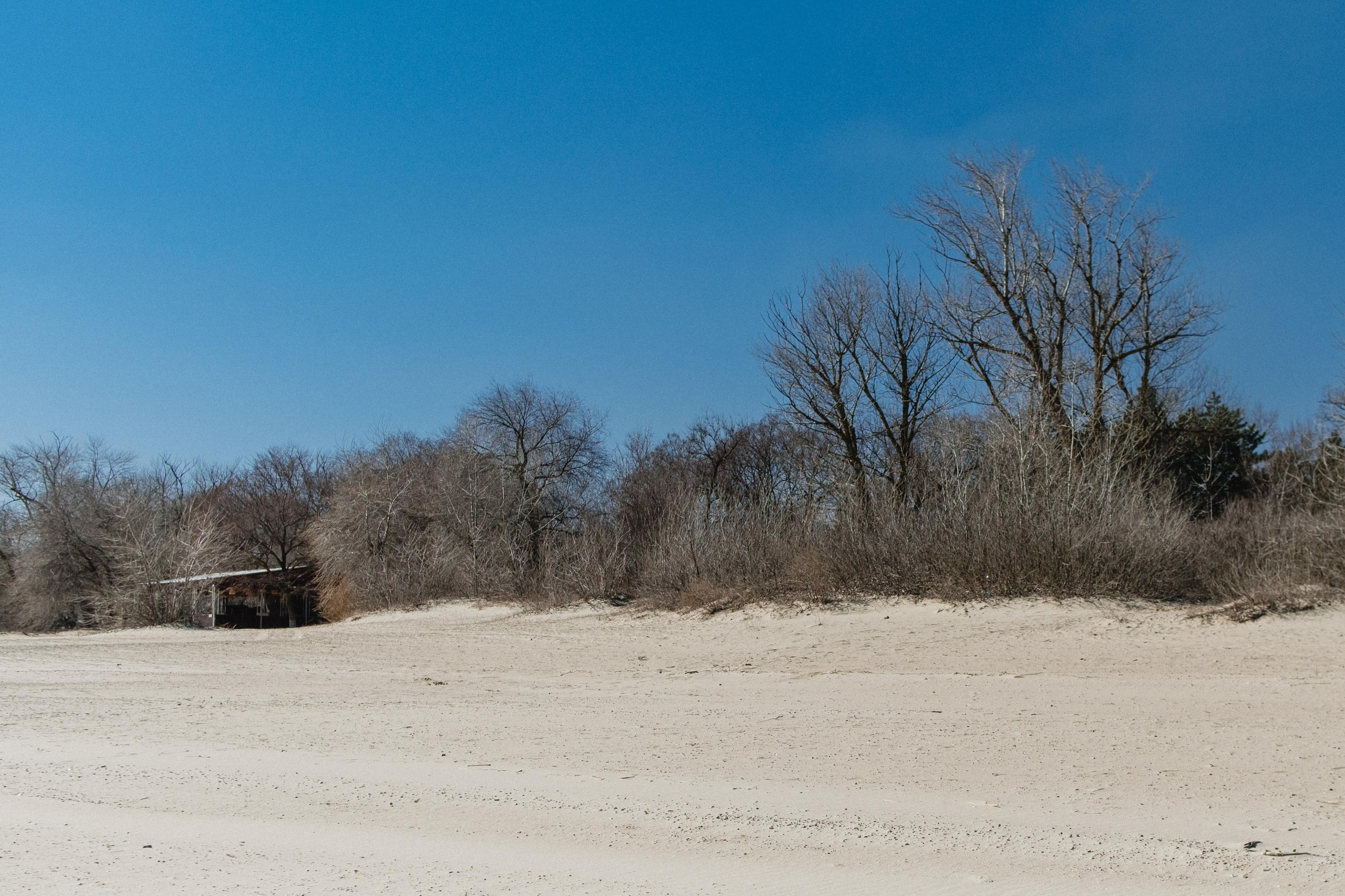 Reminiscence. Фотограф в Сочи Адлер Ковалёв Евгений