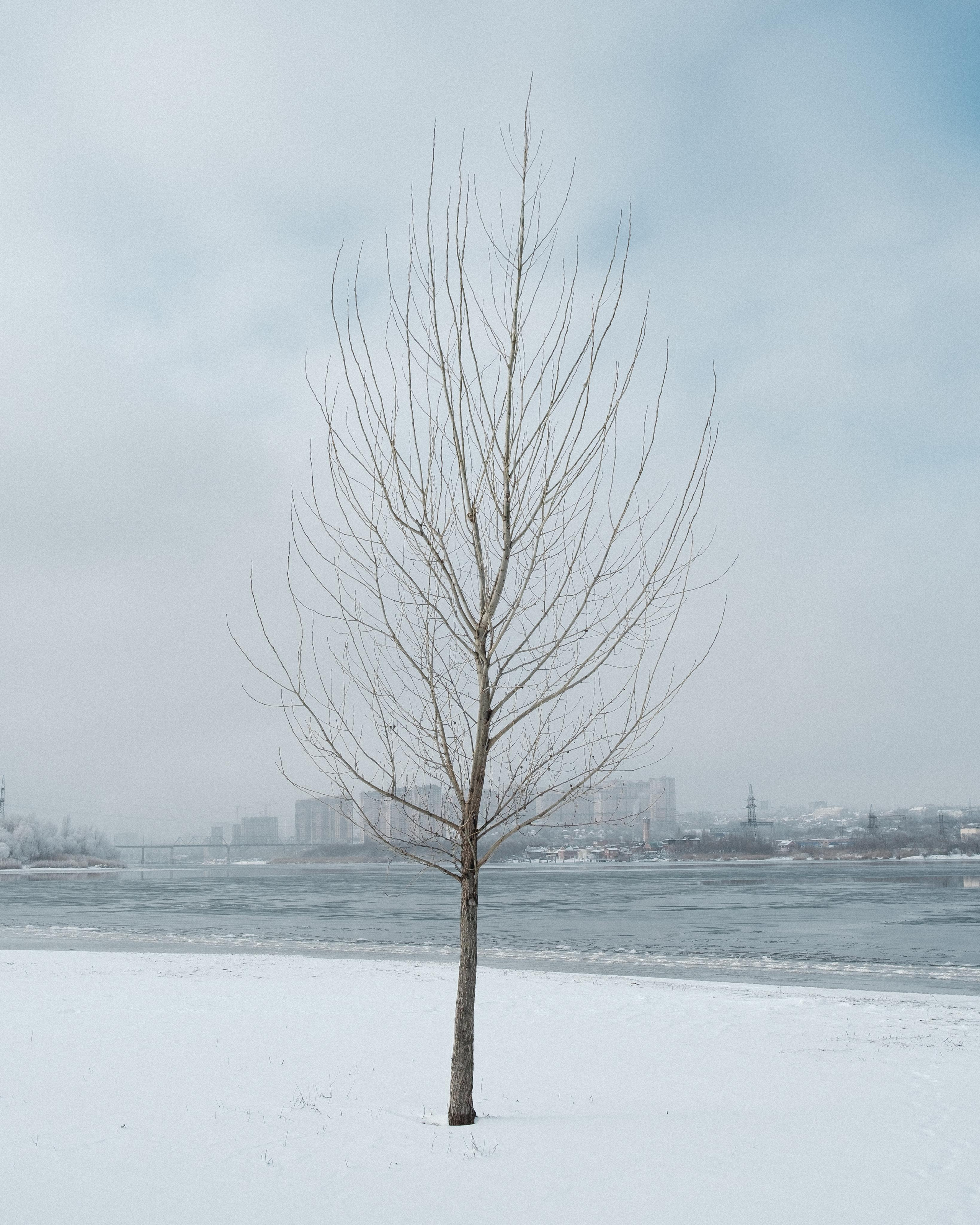 Reminiscence. Фотограф в Сочи Адлер Ковалёв Евгений