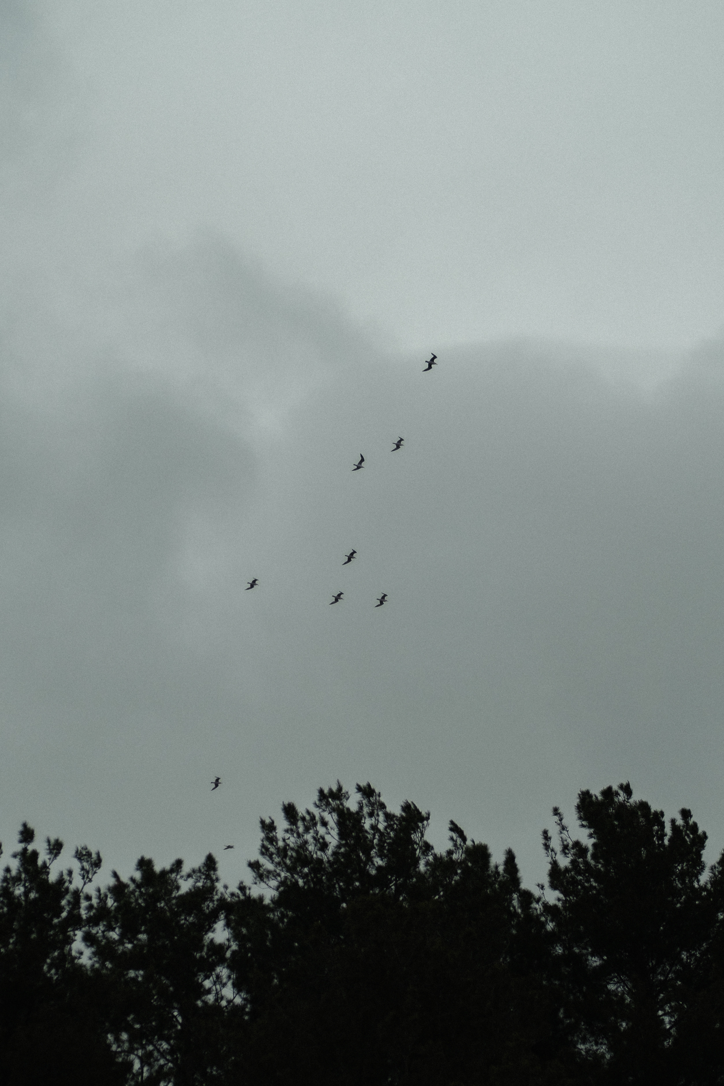 Reminiscence. Фотограф в Сочи Адлер Ковалёв Евгений