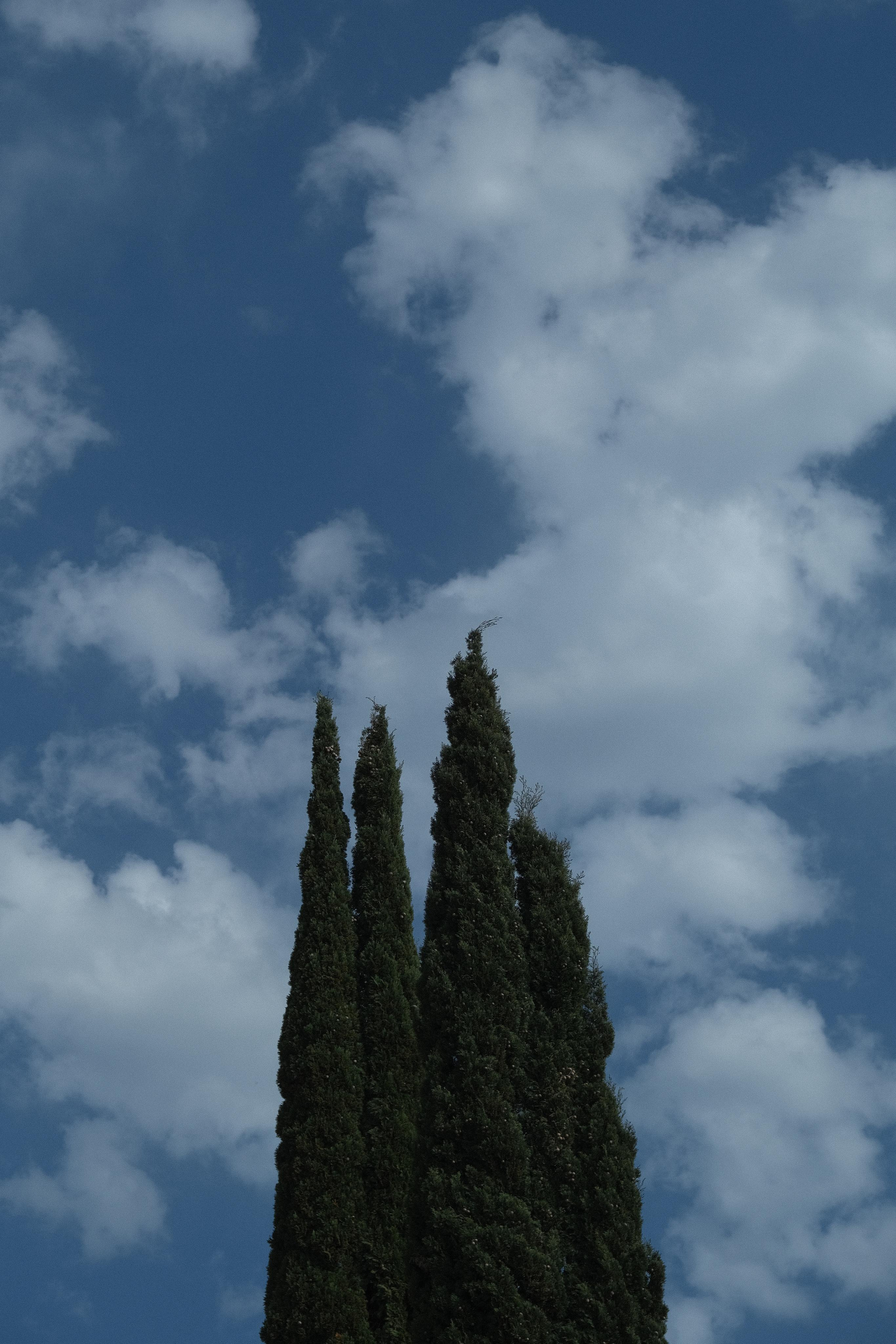 Reminiscence. Фотограф в Сочи Адлер Ковалёв Евгений