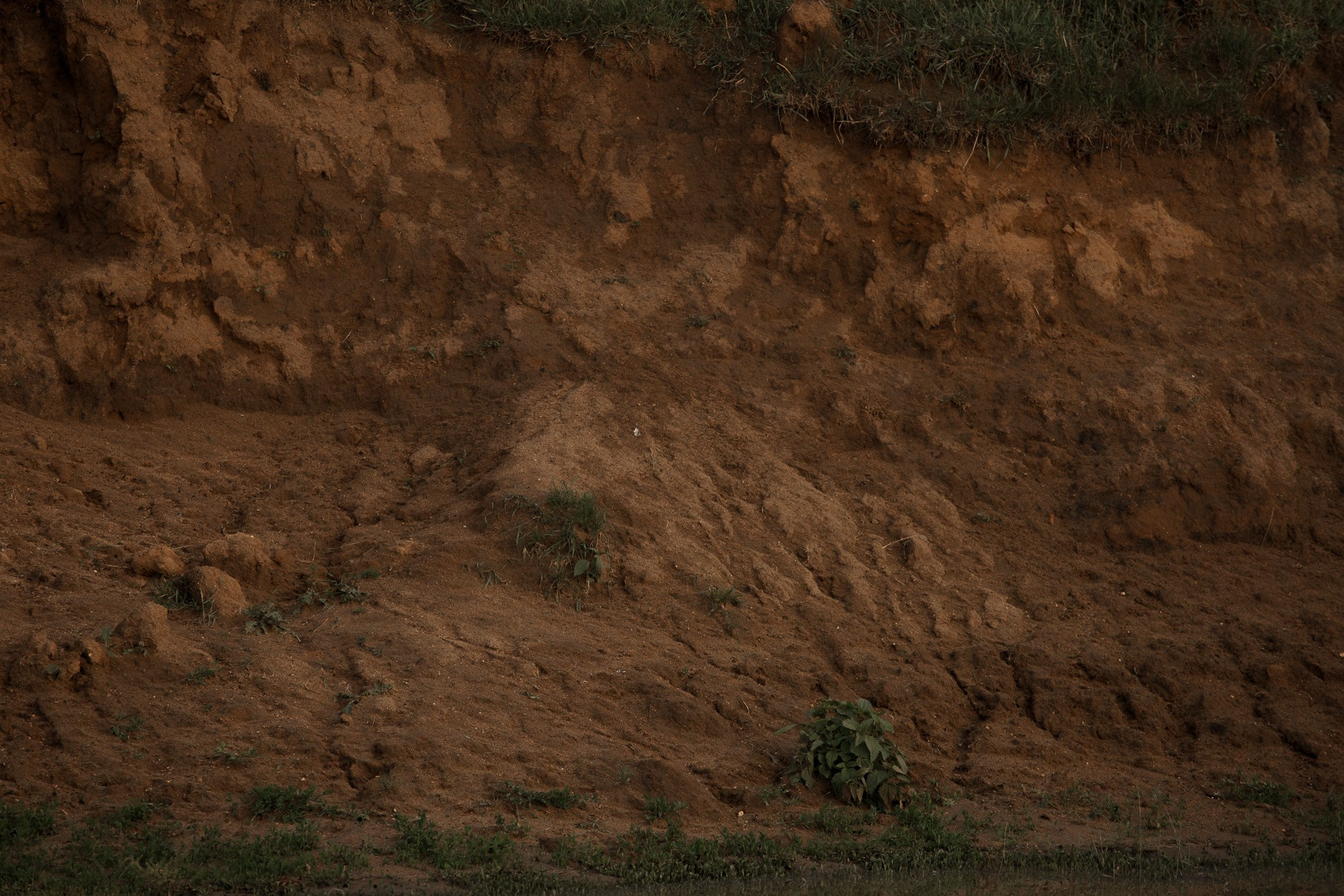 Светлана и Алексей. Свадебный и семейный фотограф в Челябинске