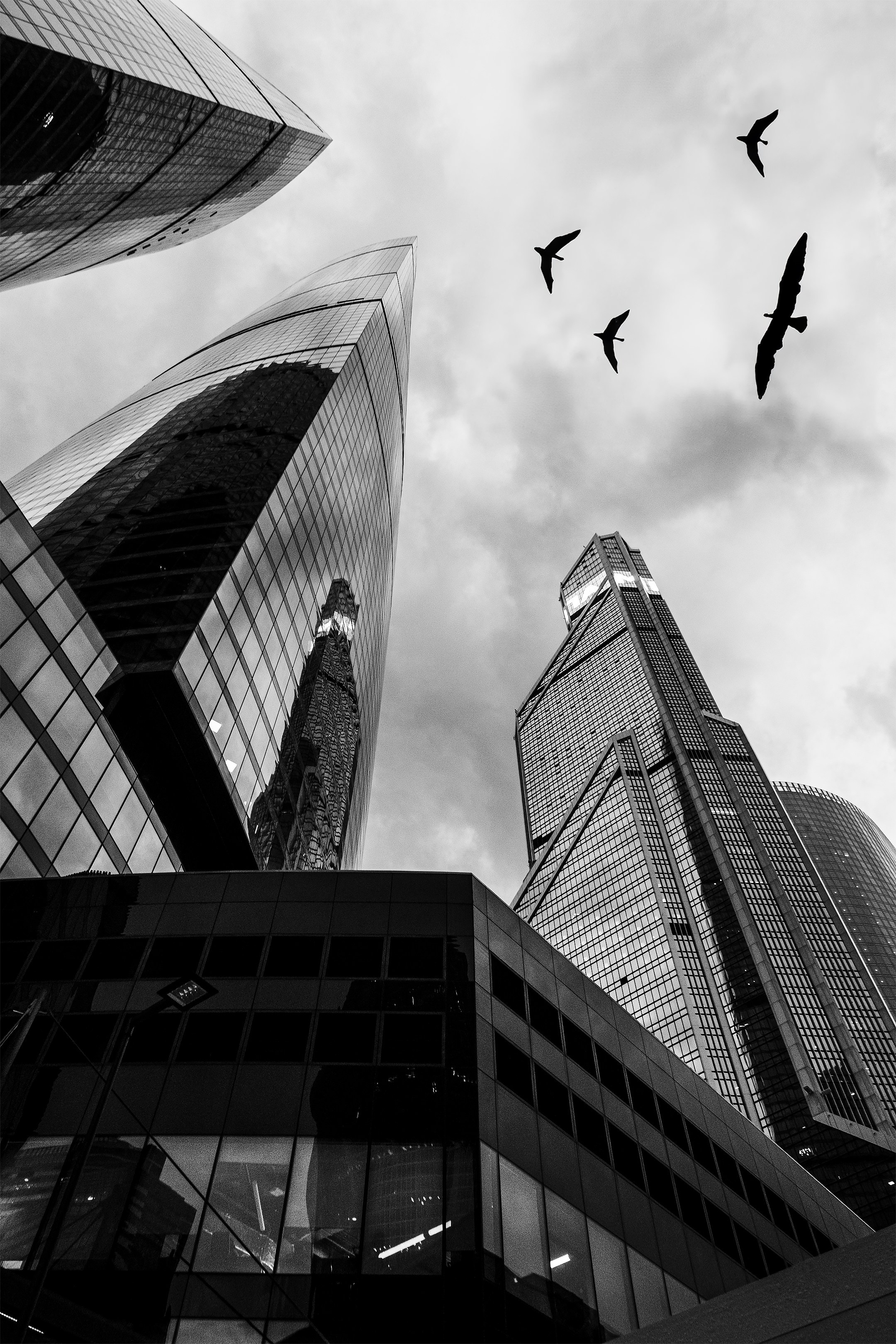 Стрит. Kuzmin photographer