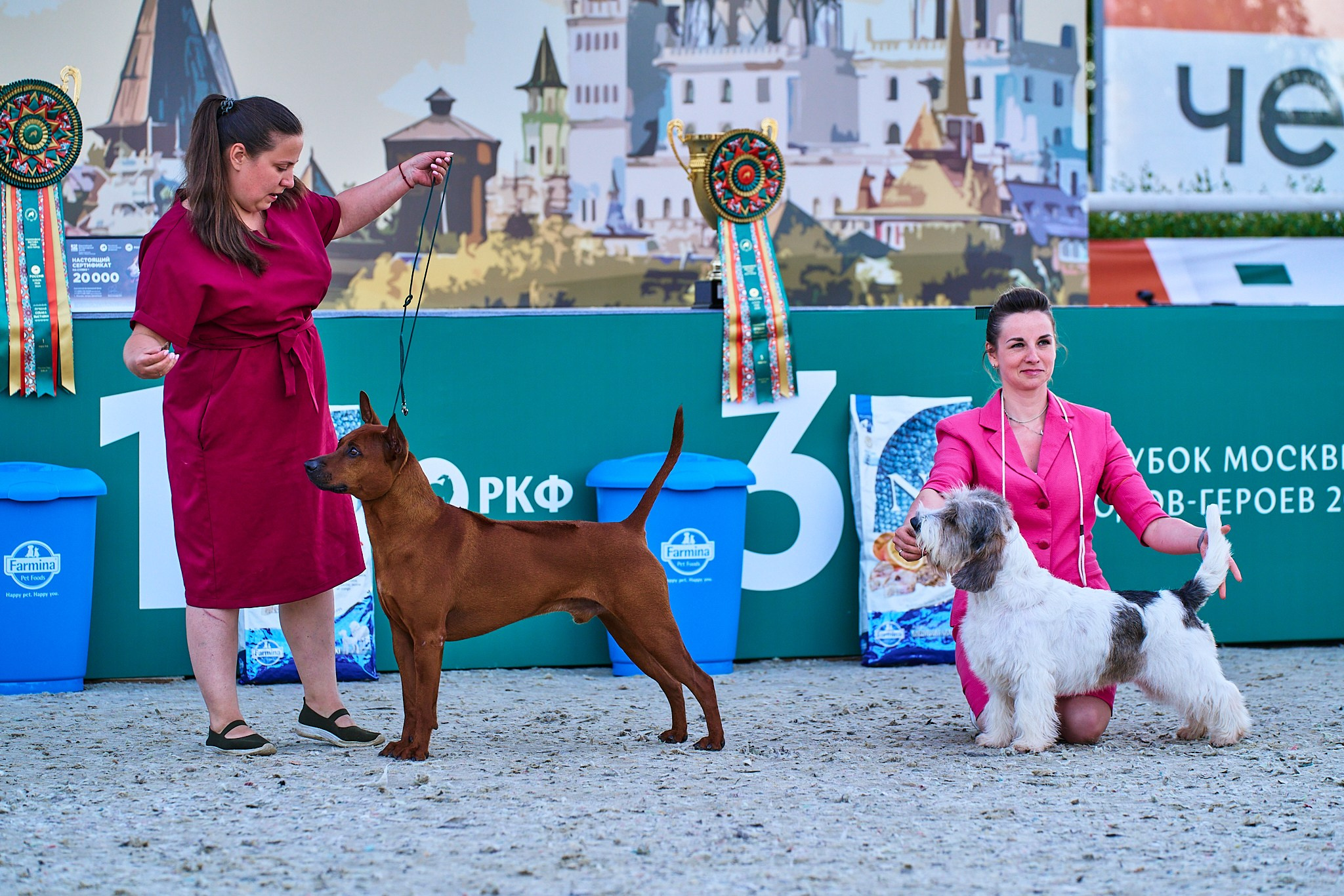 08.06.2024 «РОССИЯ. КУБОК РКФ 2024»