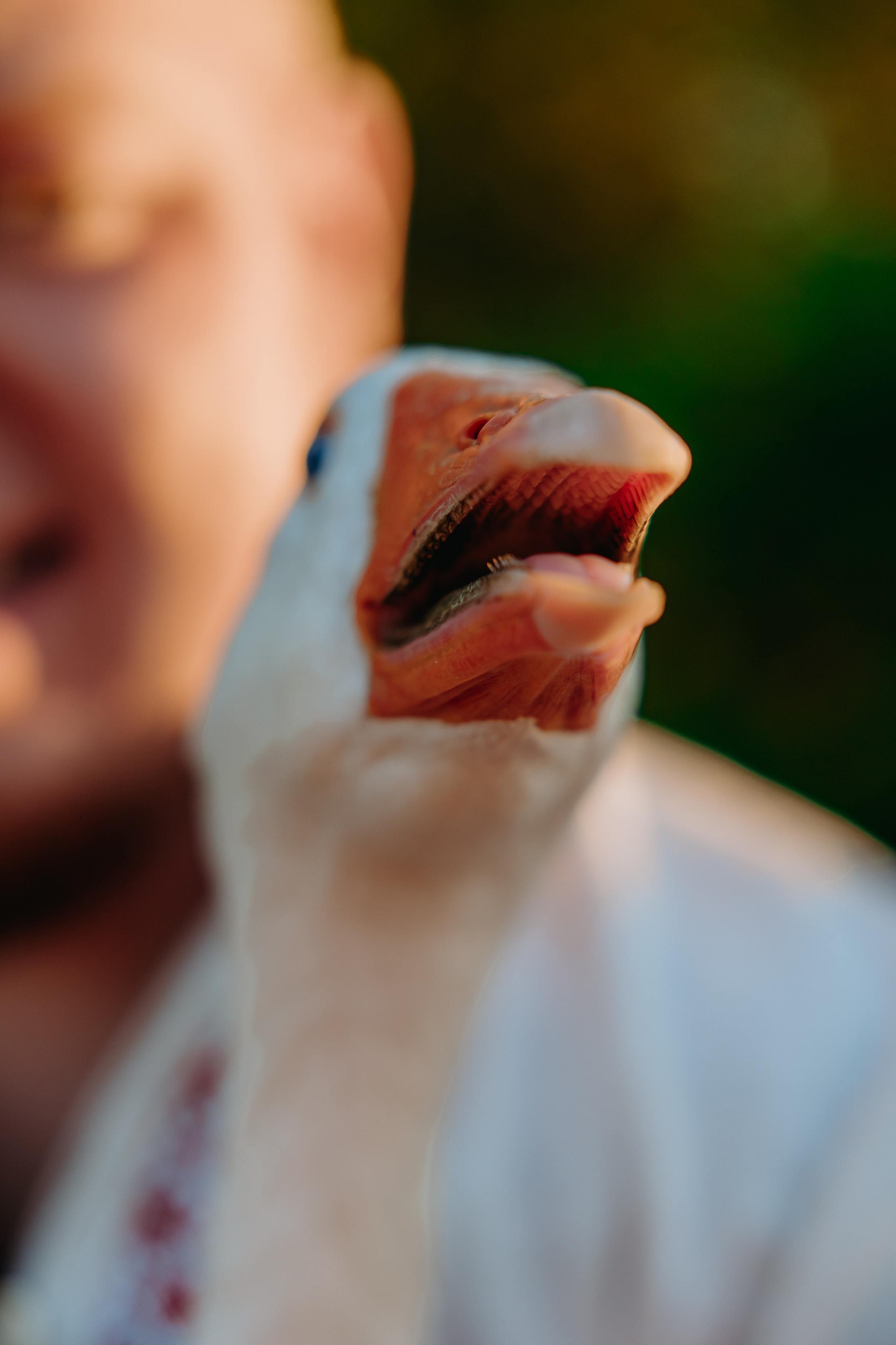 Глеб и Нильс. Фотограф в Саратове Александр Кухаренко. И не только в Саратове :)