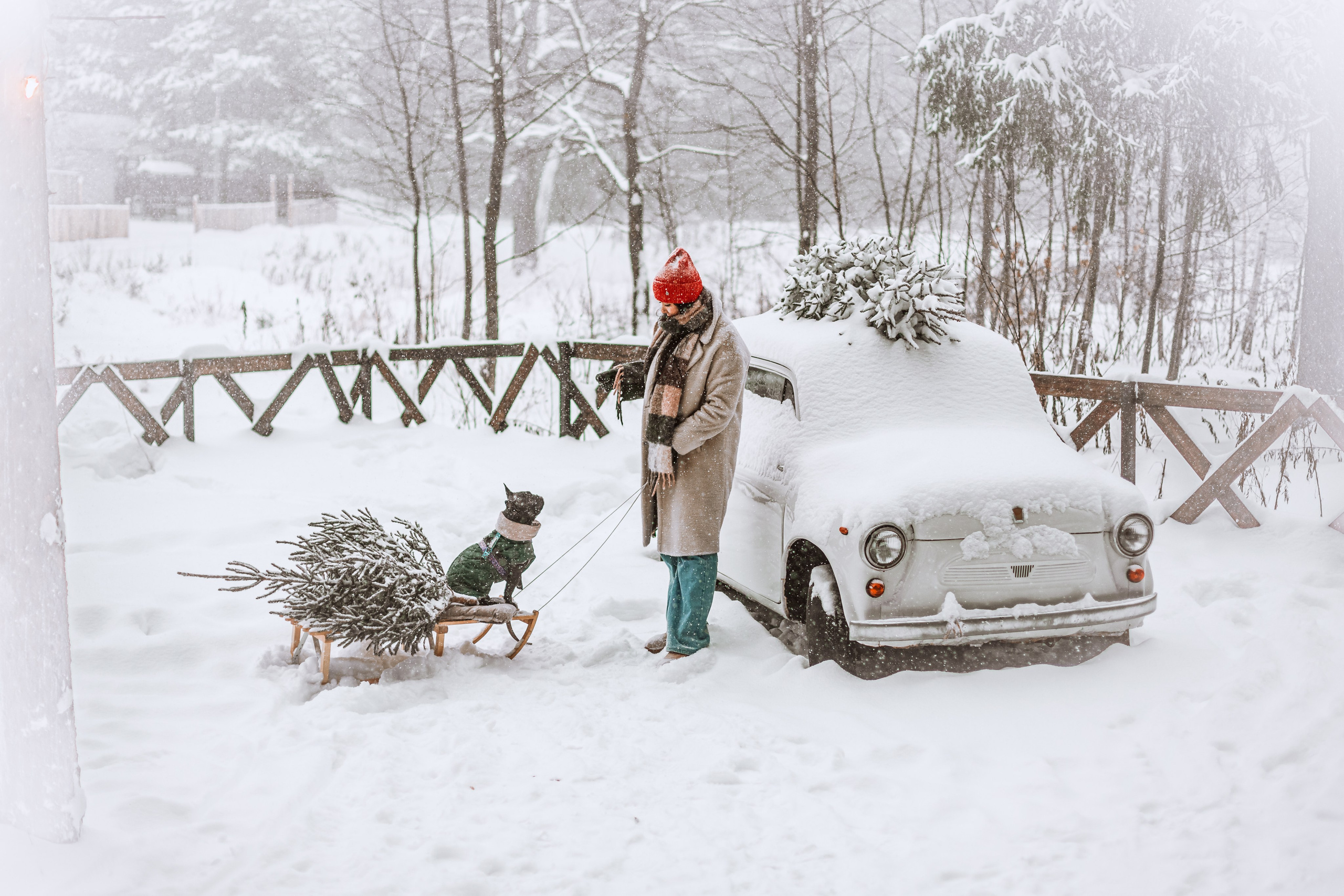 Кантри Хаус. Фотограф-анималист Татьяна Степанова