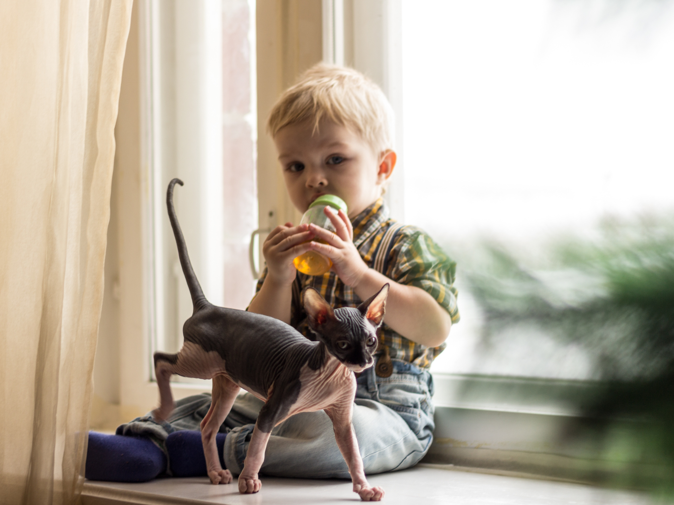Елена Арди - Детская и семейная. Фотограф на крещение и венчание в Самаре и Тольятти Елена Арди