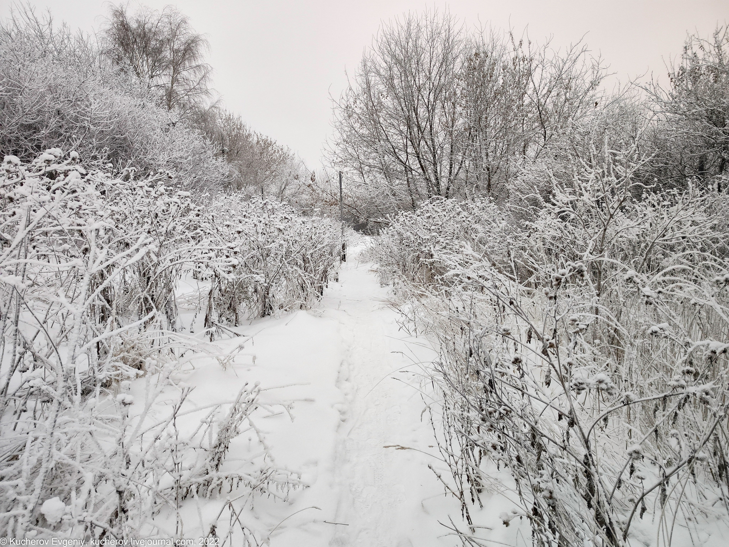 Коломенское. Кучеров Евгений. Фотограф