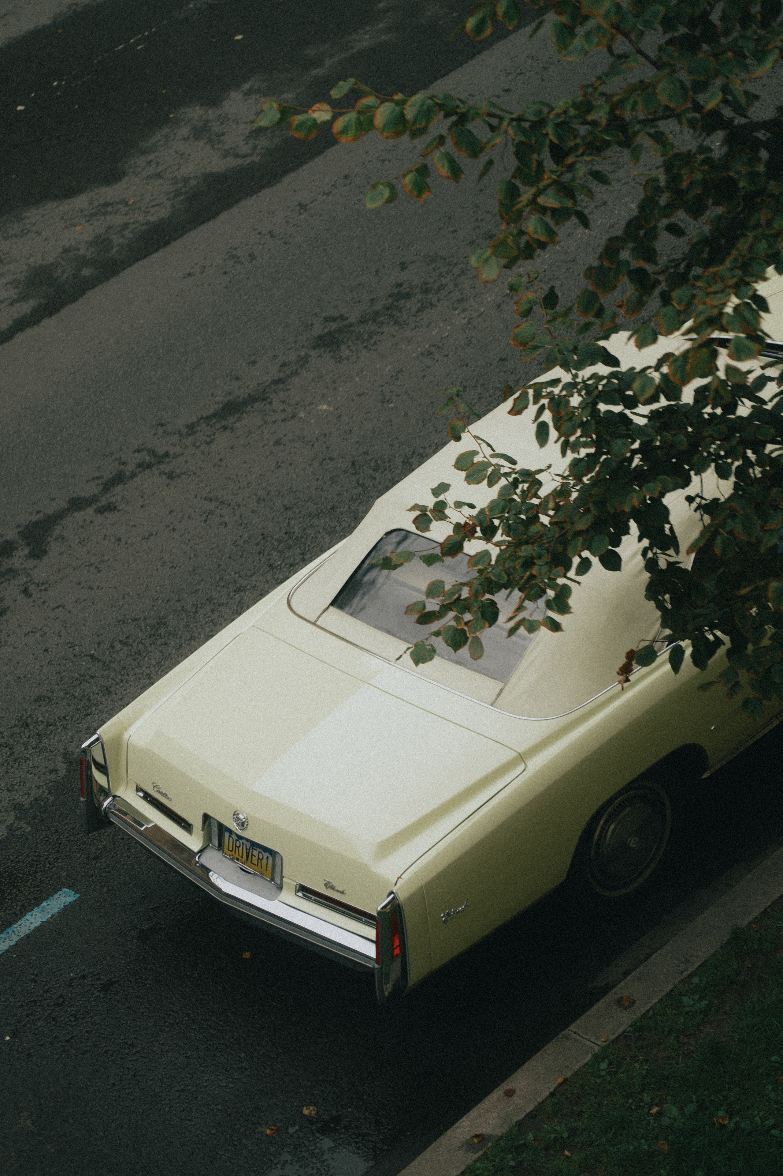 Зайковский Кирилл