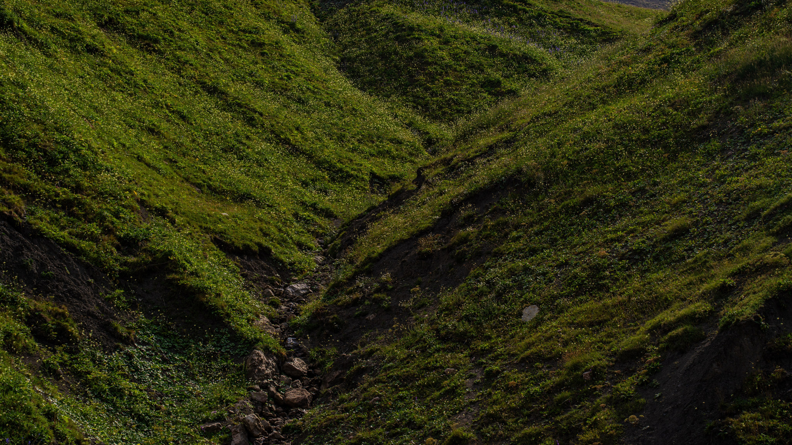 Дагестан. Фотограф в Москве. Шахабудин