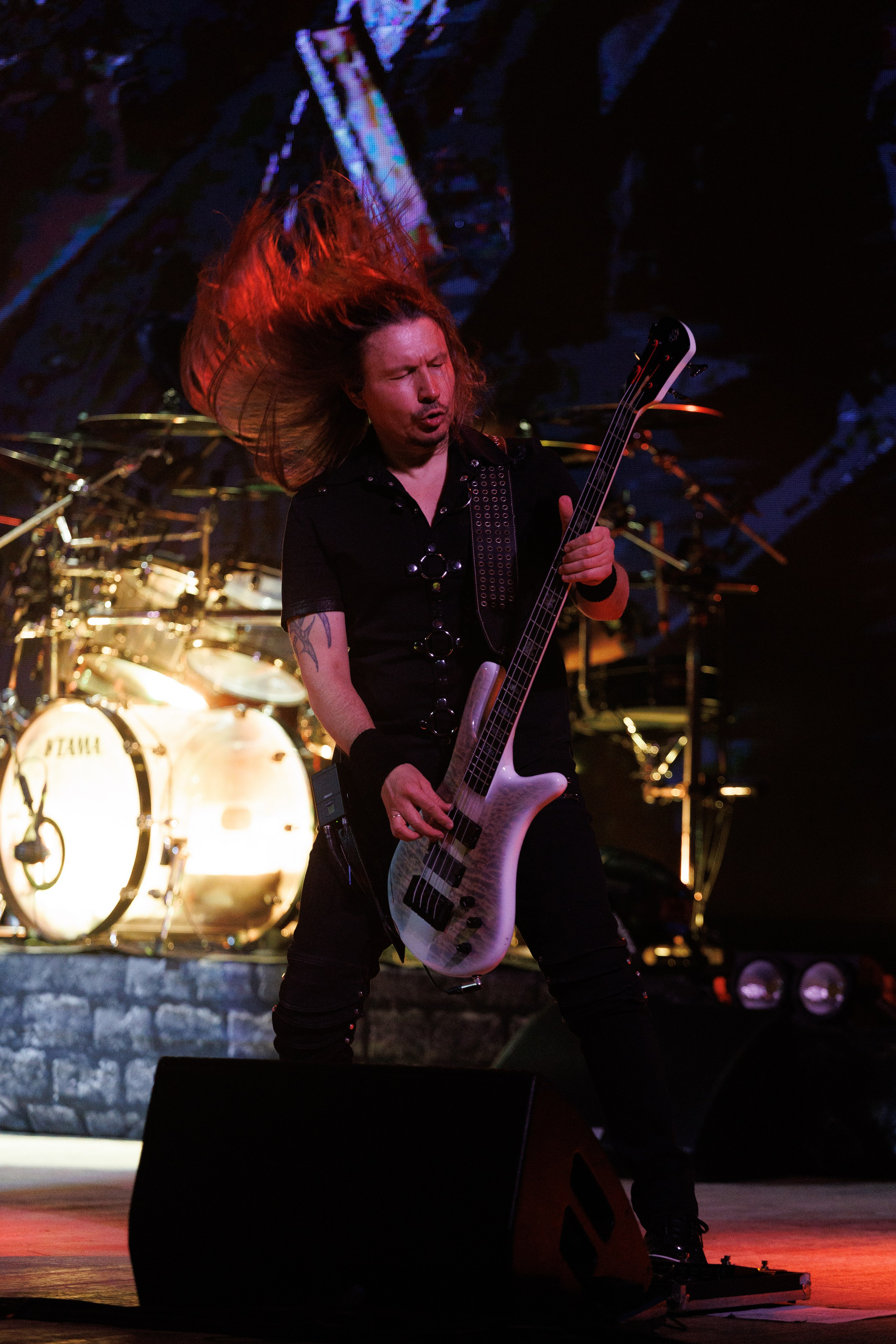 «КИПЕЛОВ». Photomantis