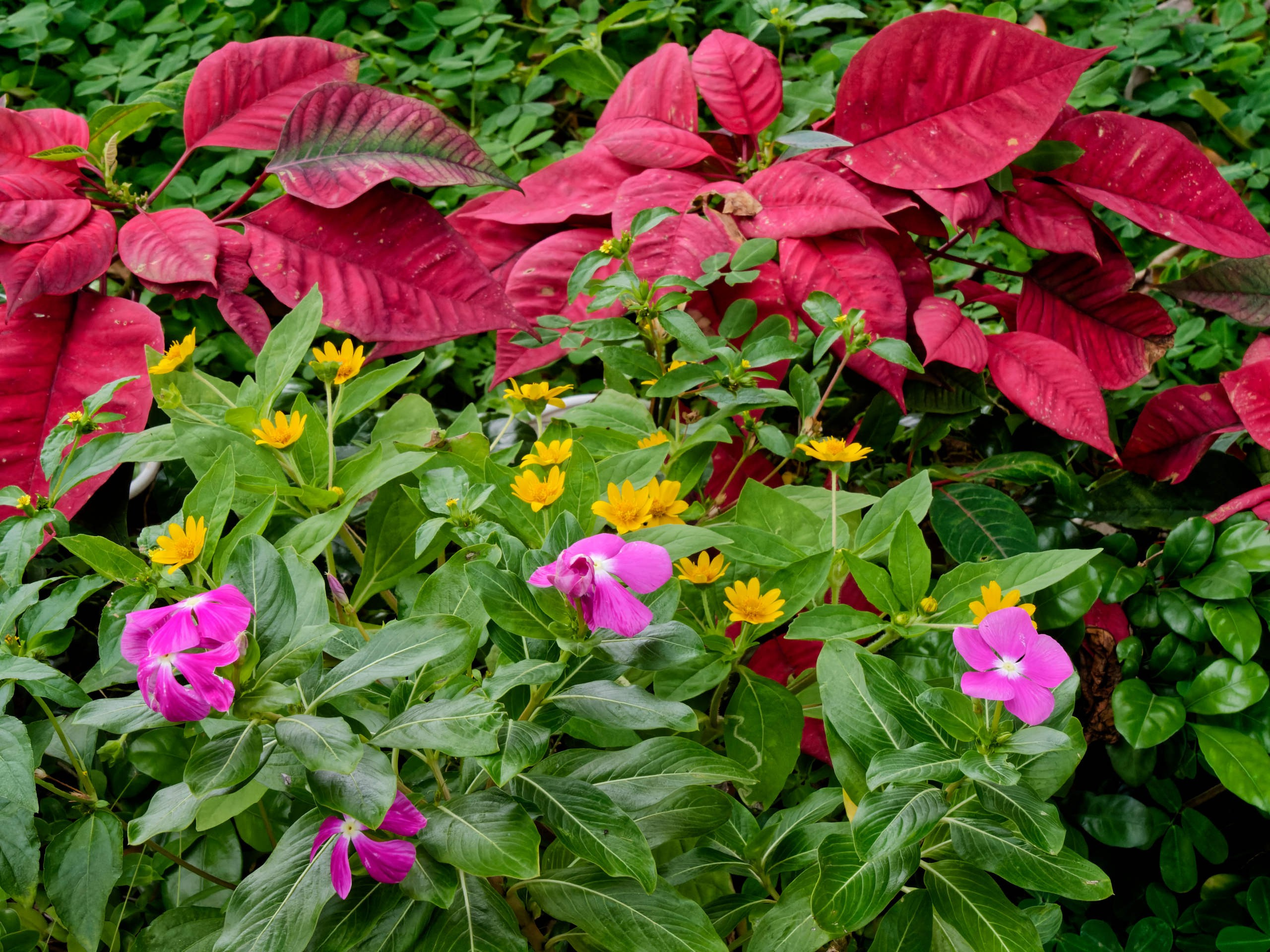 Нячанг 2025 (4). Избранные фотографии