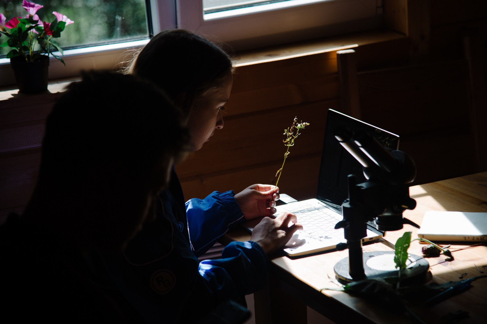 Белое море биологи. Фотограф Алиса Калинина