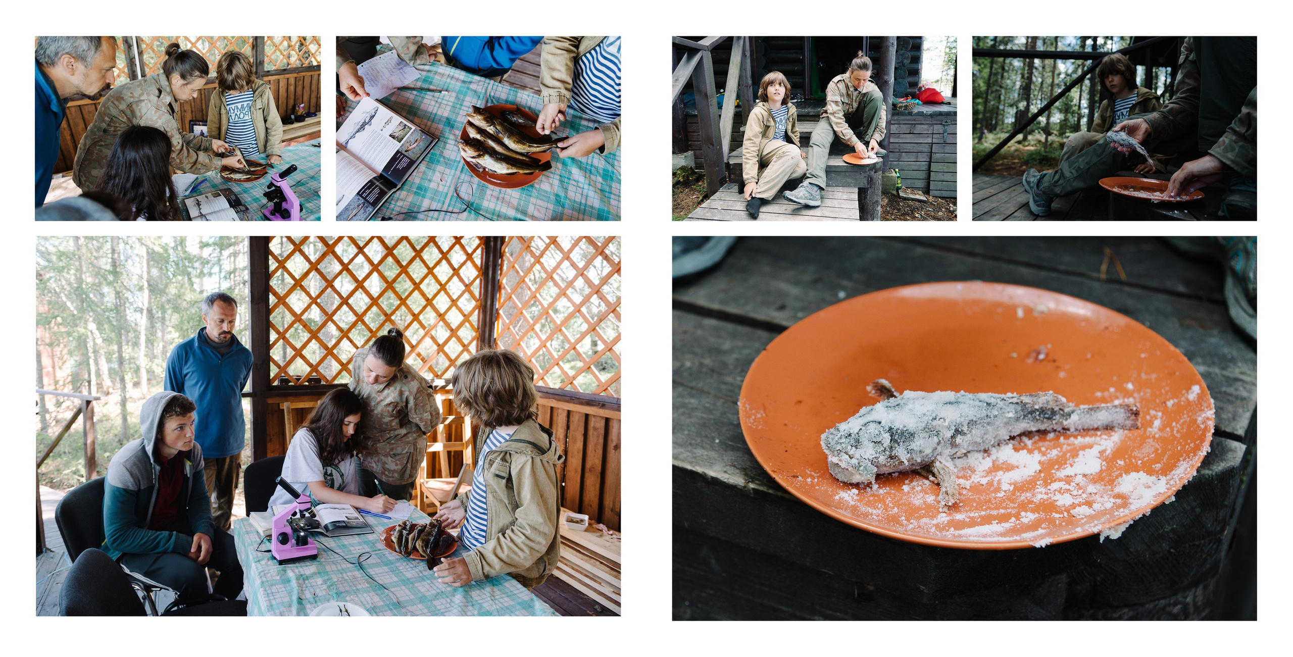 Белое море. Фотограф Алиса Калинина