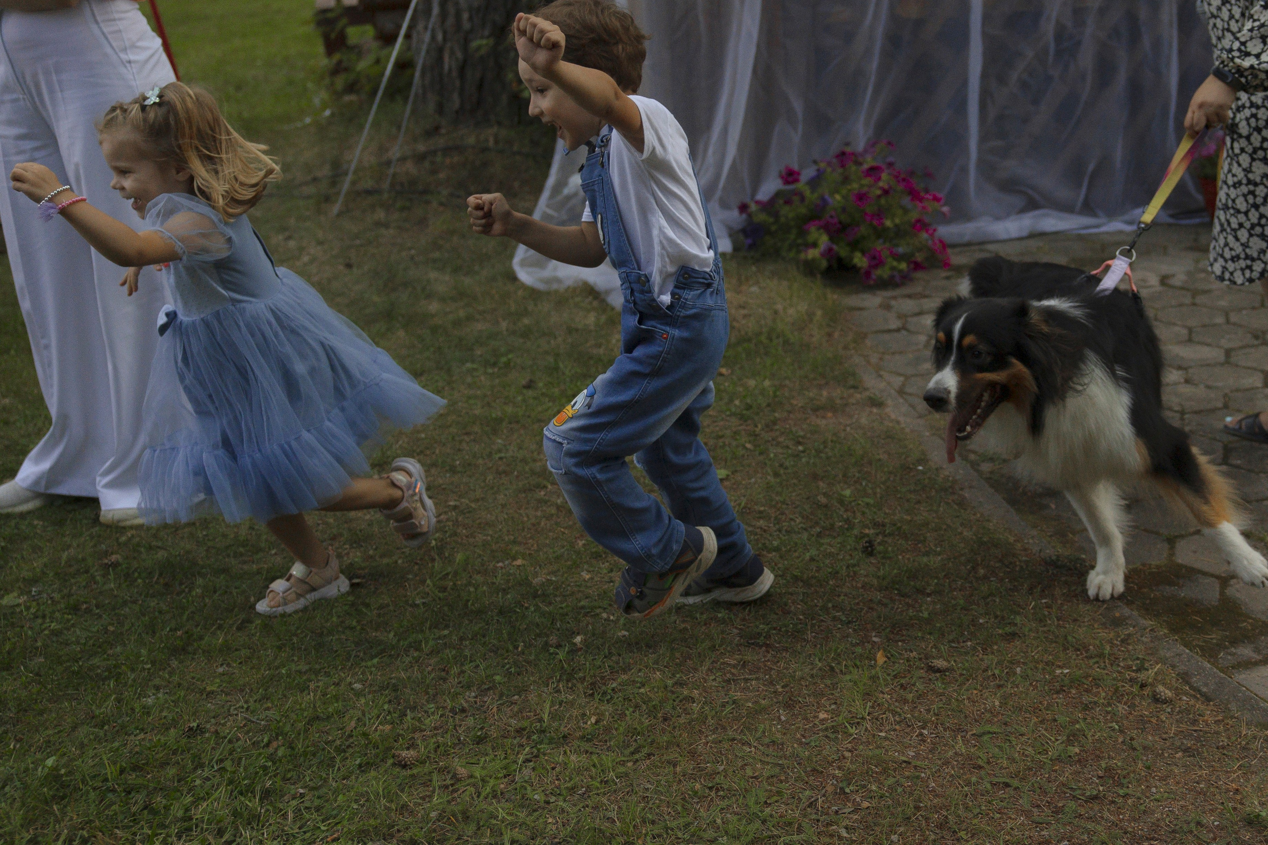 Mamma Mia! (Игорь & Катя). Wed Photographers 📷 Saint Petersburg