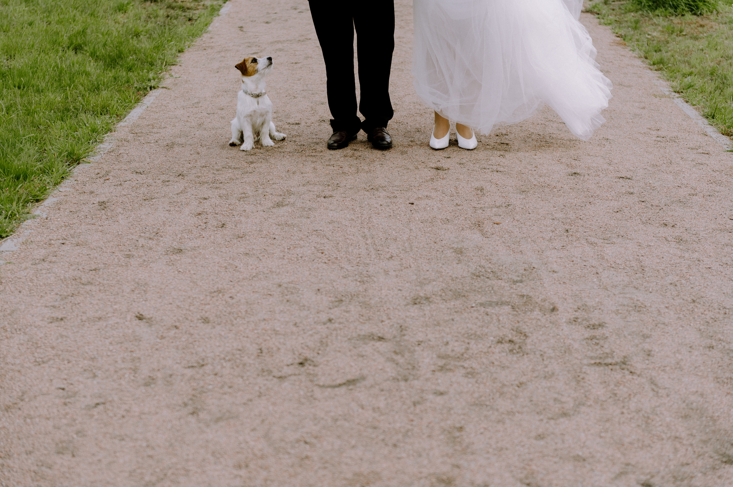 Таня и Паша — The Great Gatsby