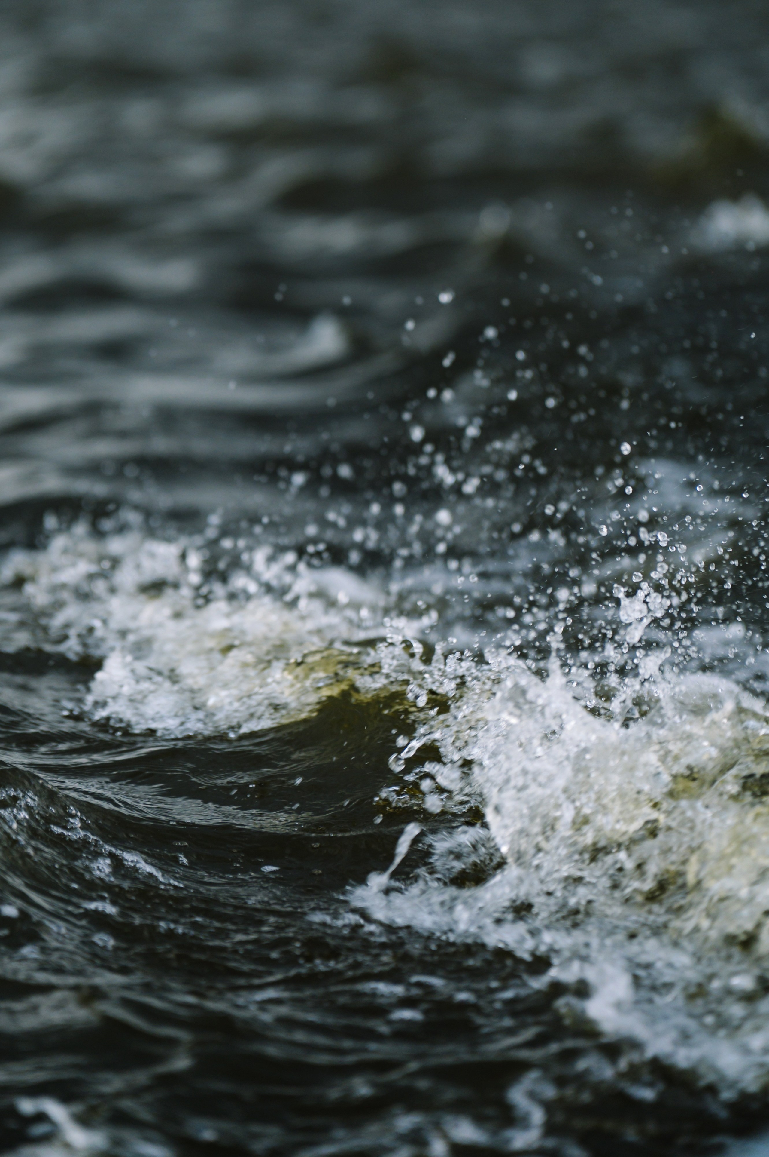 Буревестник. Репортажный фотограф в Москве и по всему миру Степанова Юлия