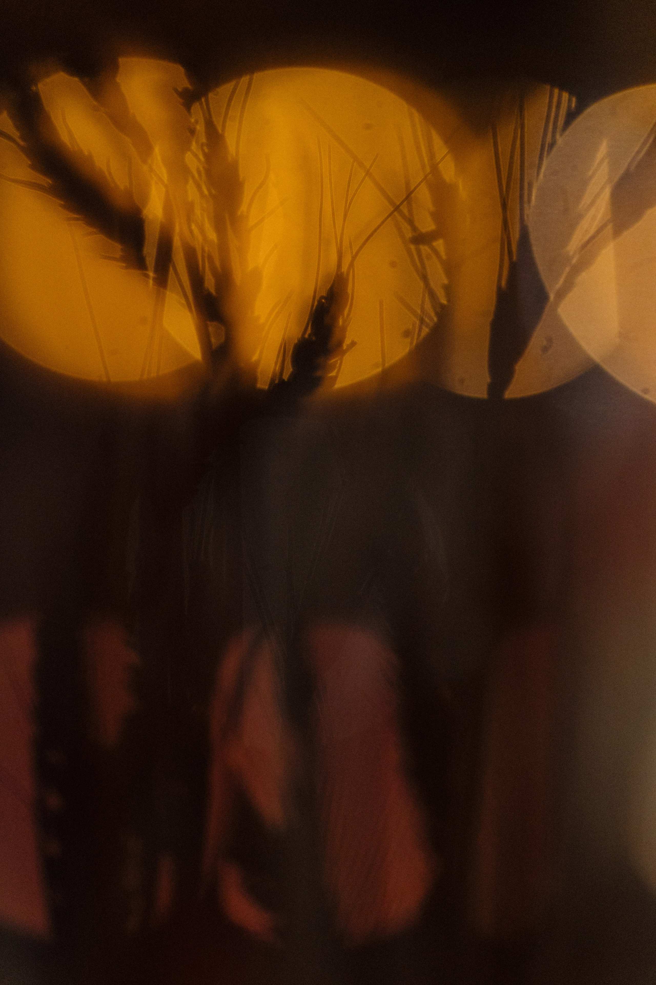 TOBELOVE. Свадебный и семейный фотограф в Краснодаре Роман Моско